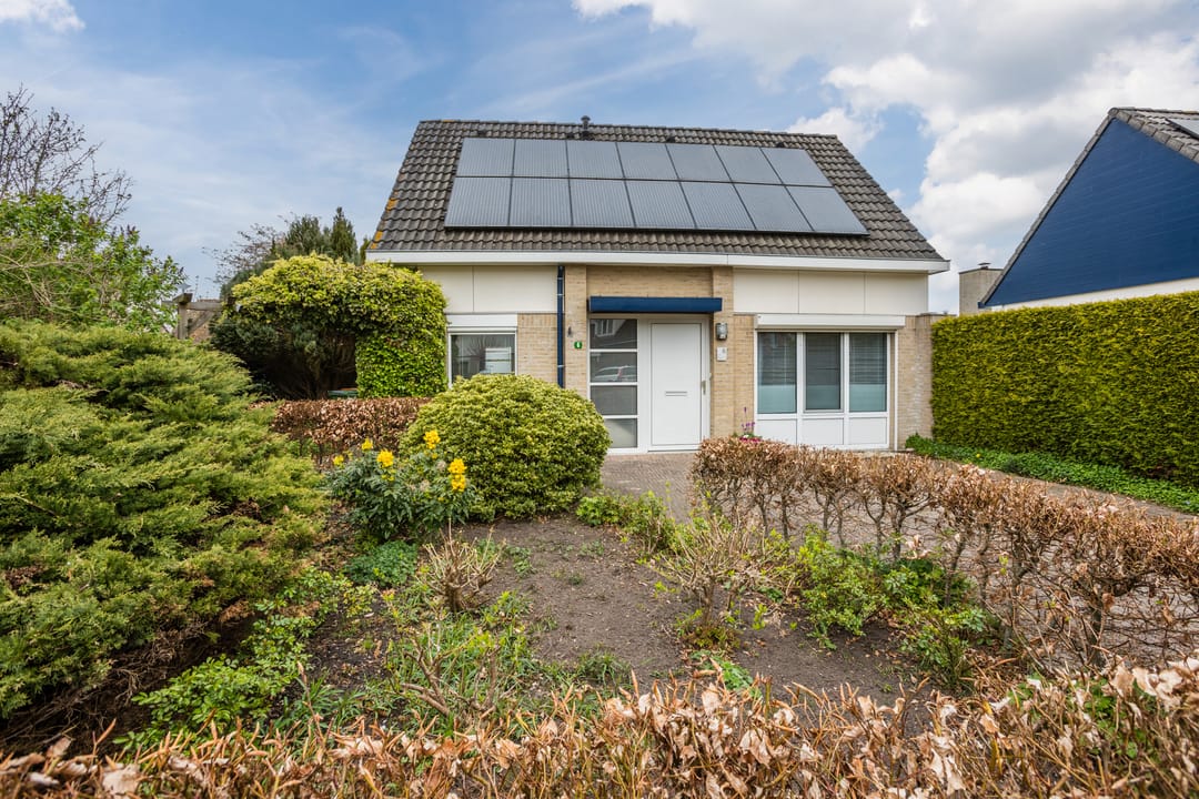 Foto 7 van Groenland 6