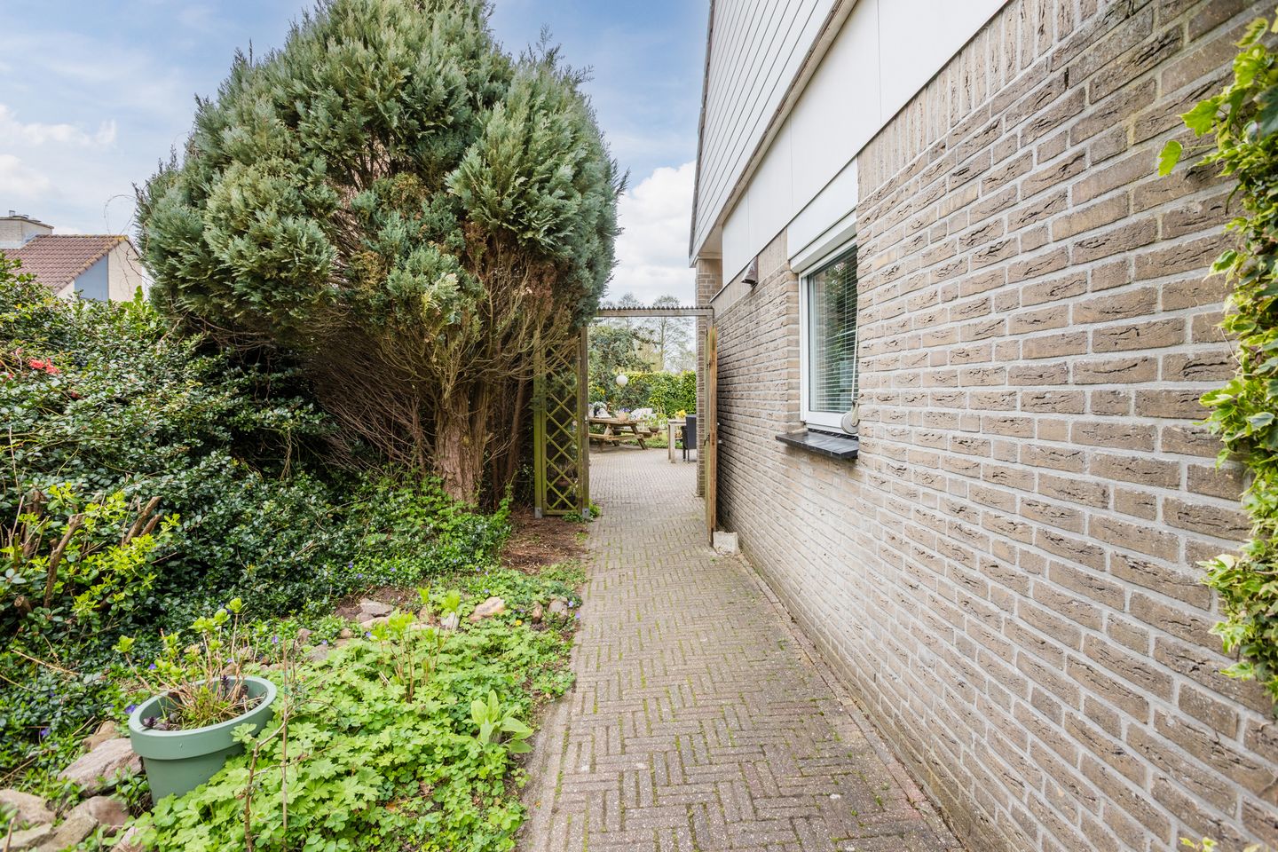 Foto 55 van Groenland 6