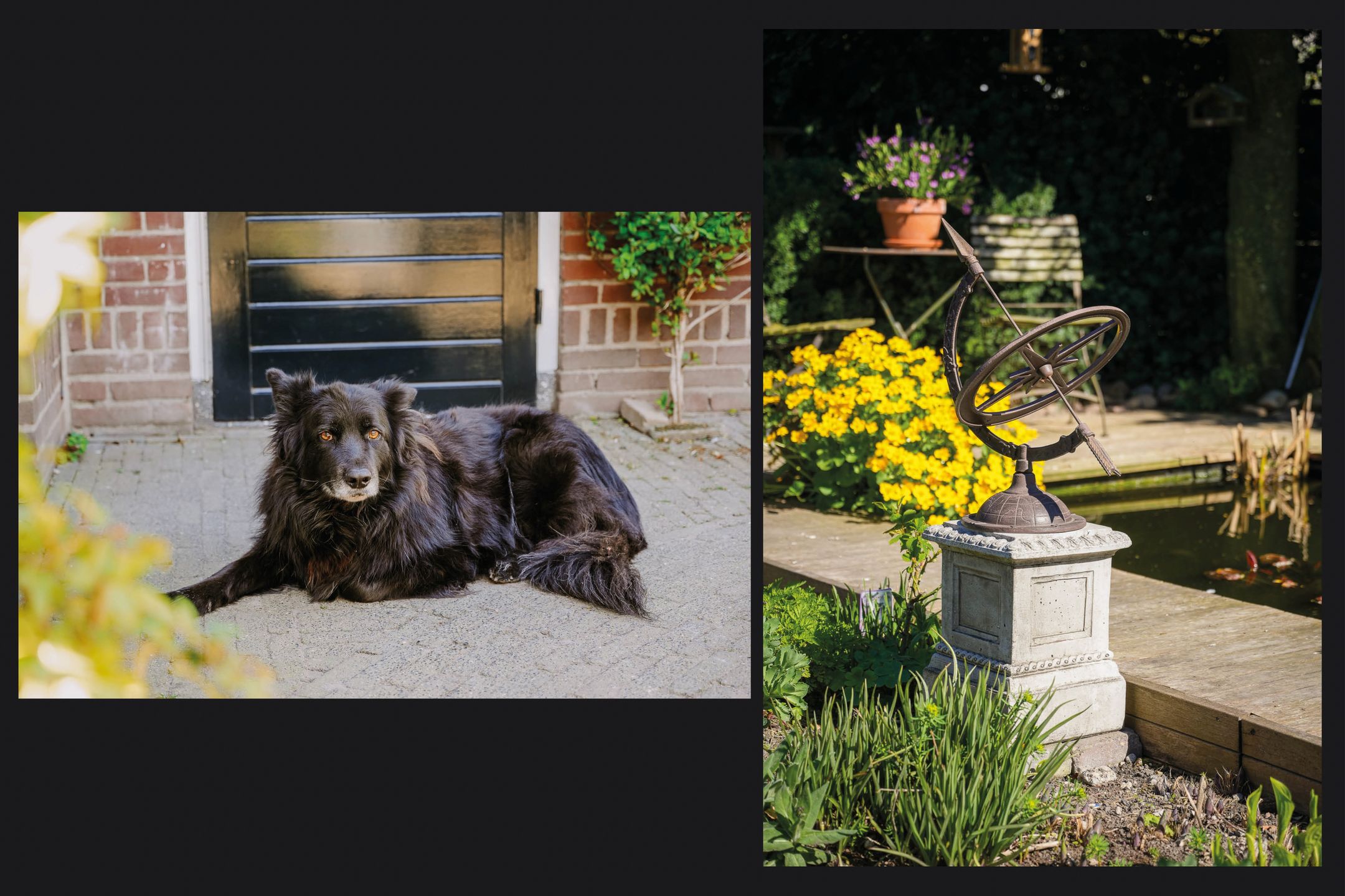 Foto 24 van Dr. A. Kuyperweg 4-A