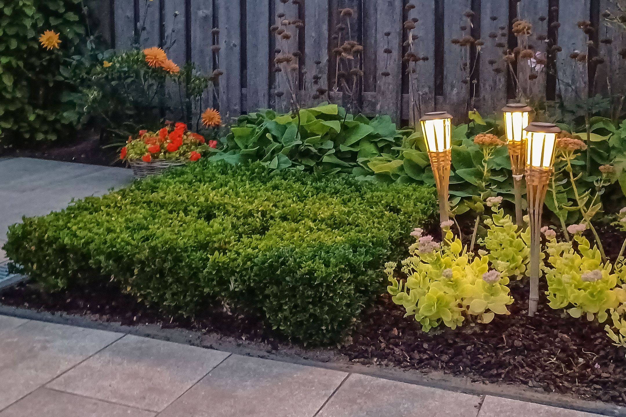 Foto 51 van Noordhoren 2