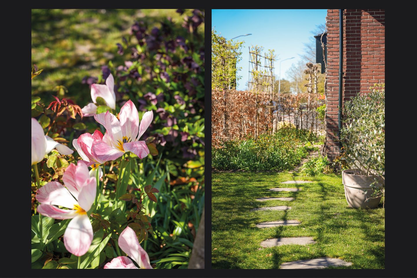 Foto 34 van Dr. A. Kuyperweg 4-A