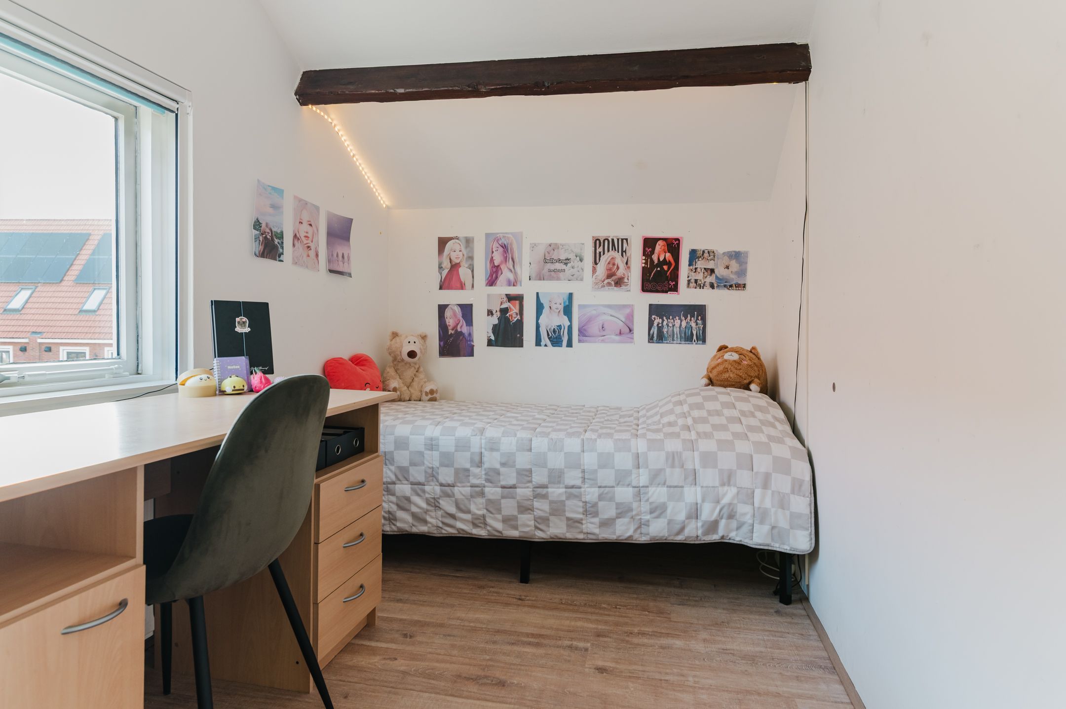 Foto 54 van Jan Eisengastrjitte 52