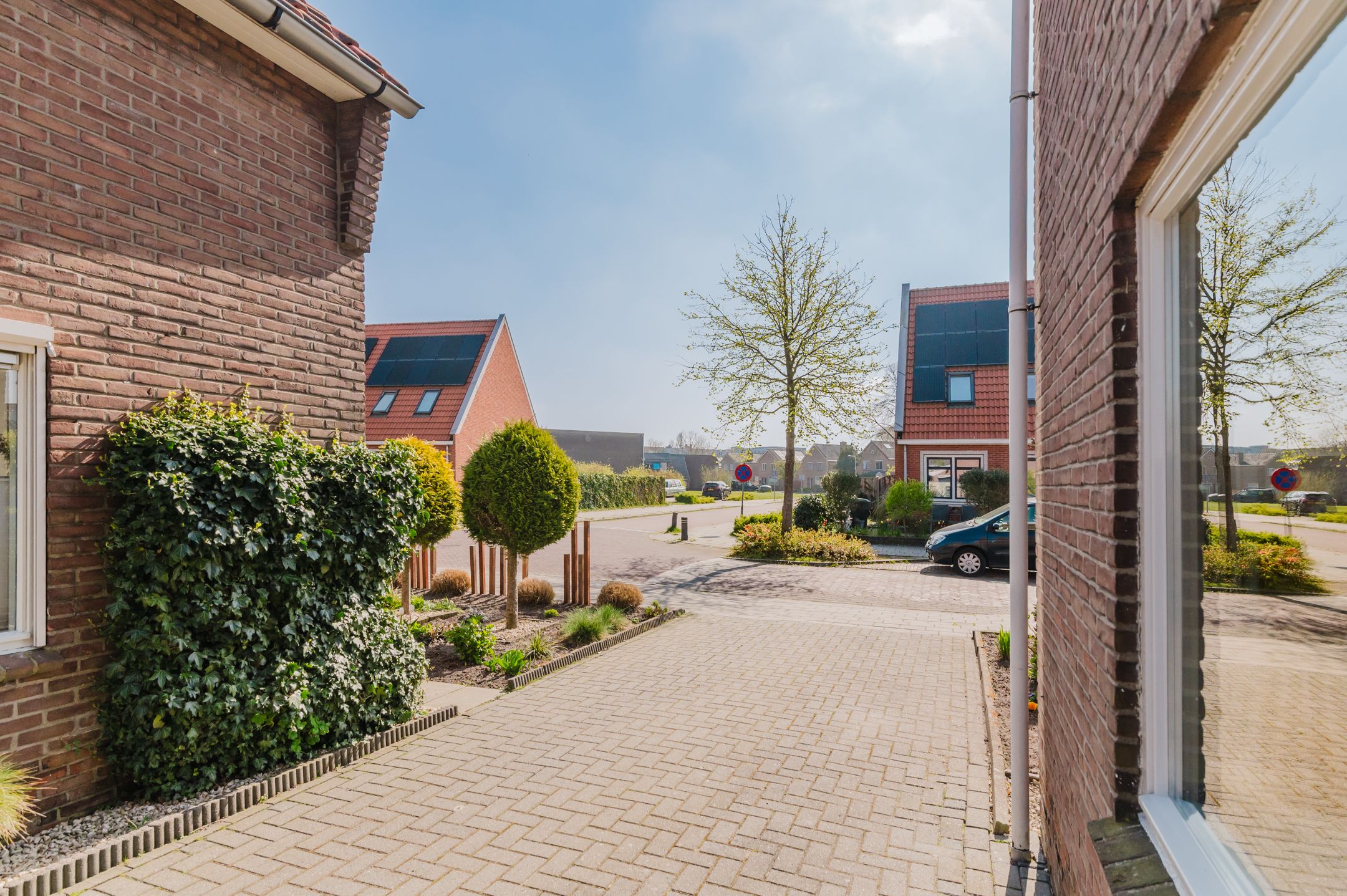 Foto 21 van Jan Eisengastrjitte 52