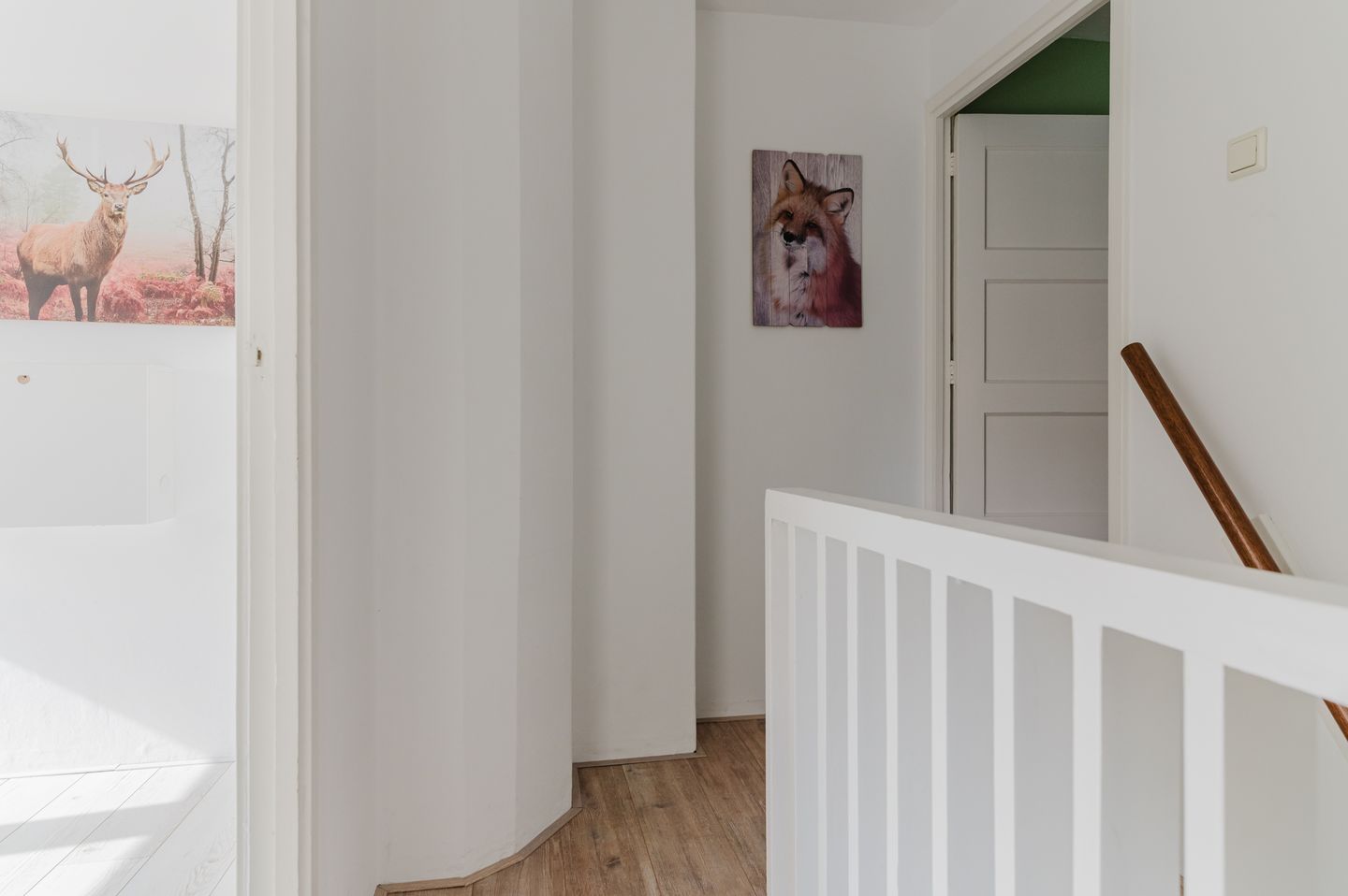 Foto 50 van Jan Eisengastrjitte 52