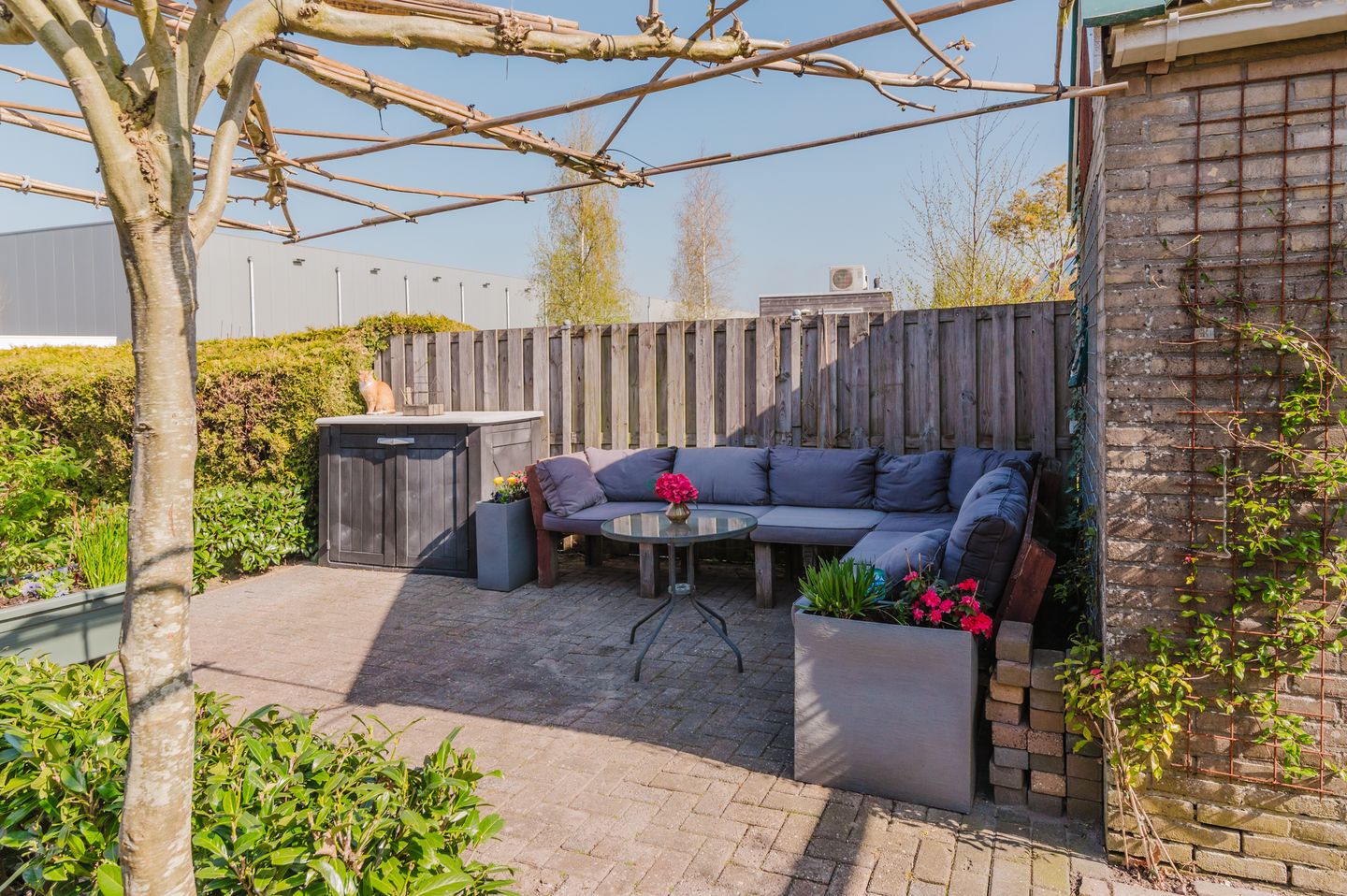 Foto 14 van Jan Eisengastrjitte 52