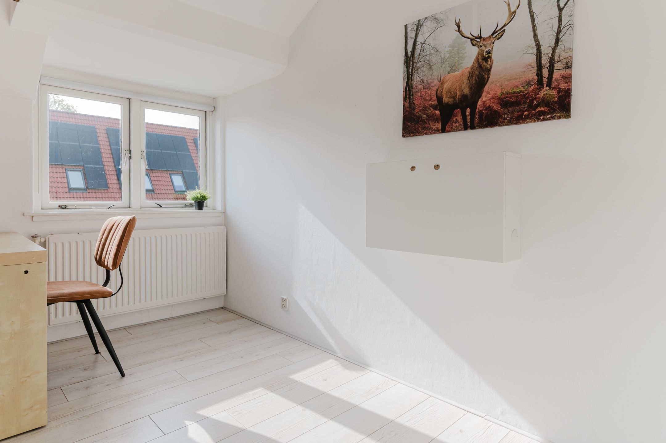 Foto 51 van Jan Eisengastrjitte 52