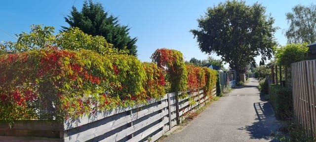 Foto 17 van Westvlietweg 10-32