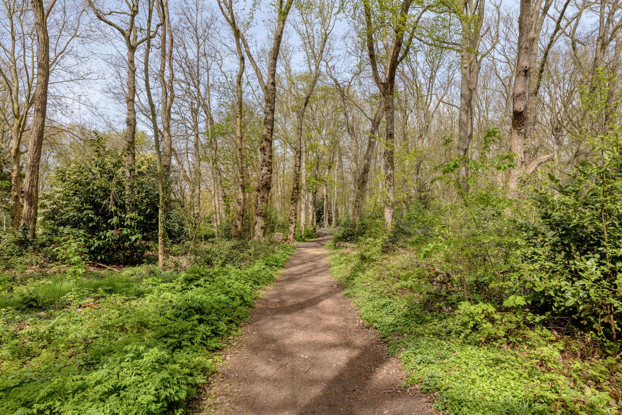 Photo 48 of Schiethoek 48