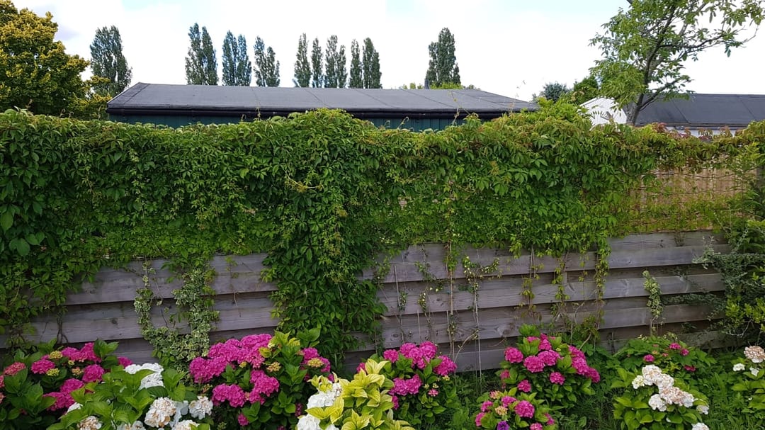 Foto 26 van Westvlietweg 10-32