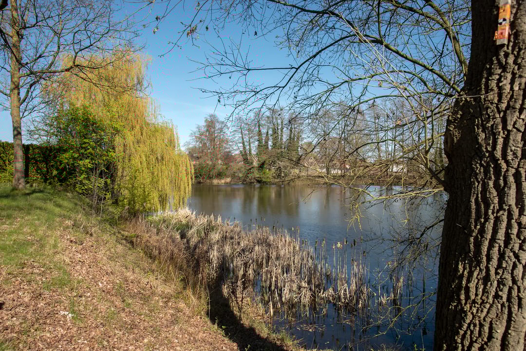 Foto 31 van Seringenstraat 17