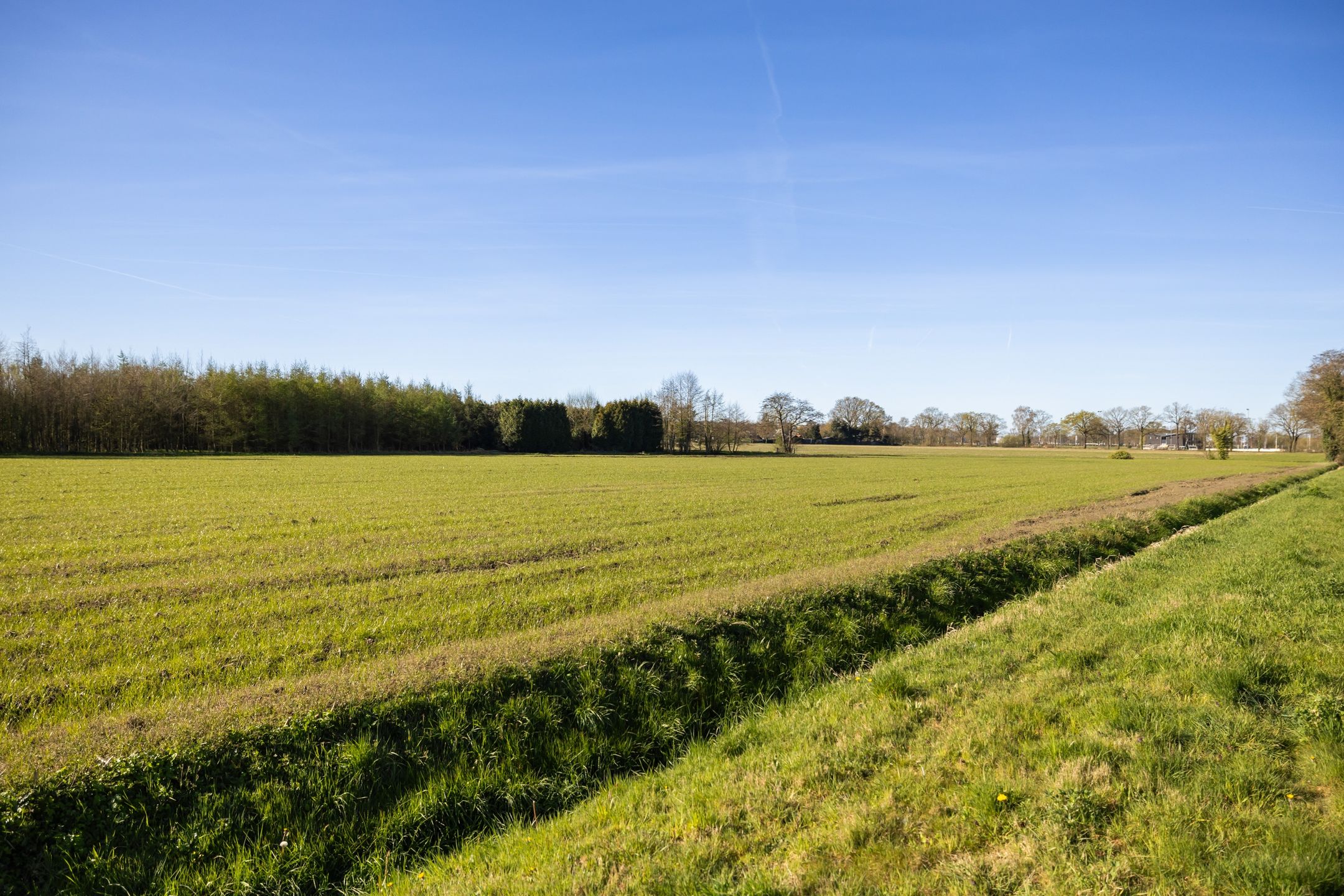 Photo 36 of Langhuis 8