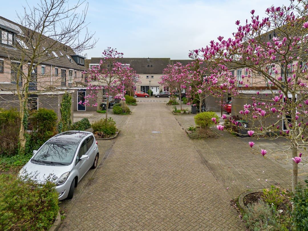 Photo 32 of Pimpelmees 10