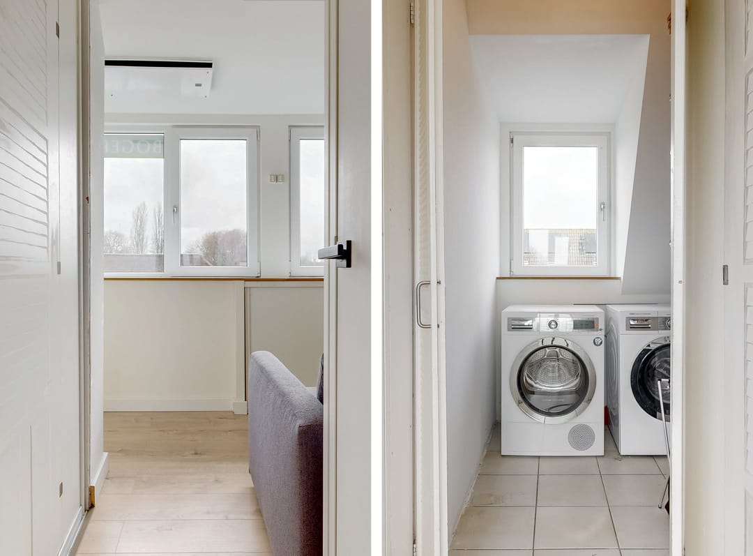 Photo 22 of Pimpelmees 10