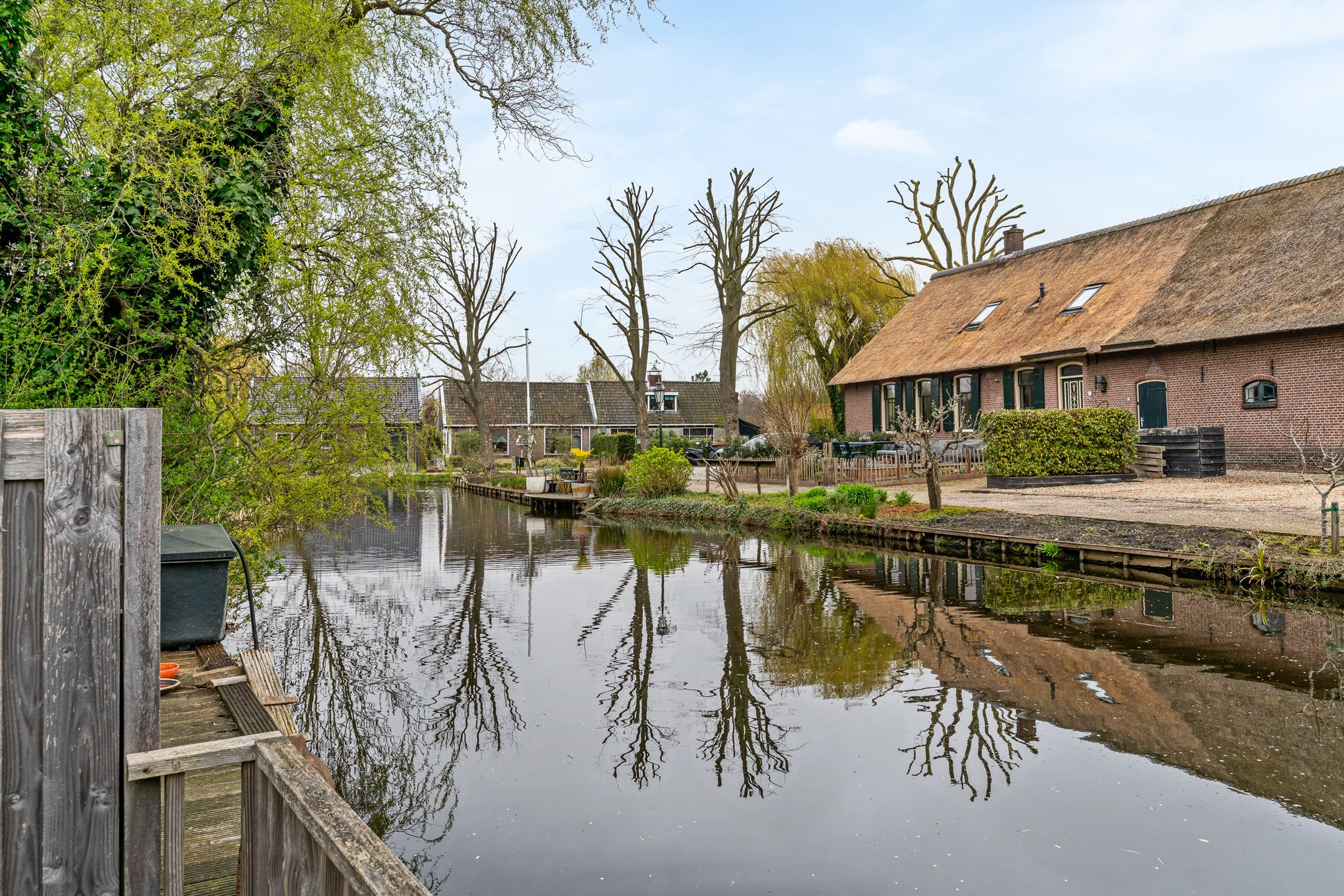 Photo 30 of Pimpelmees 10