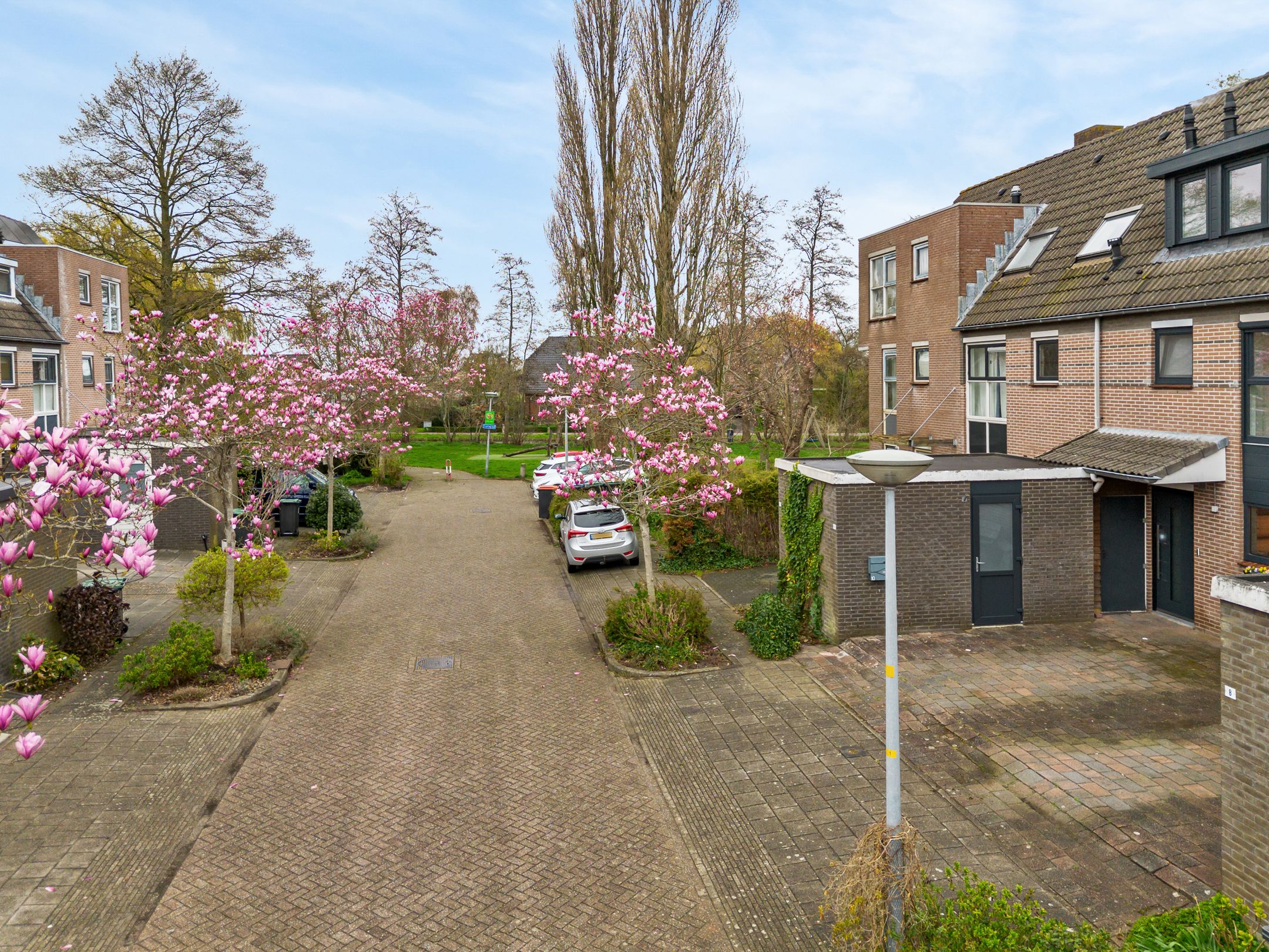 Photo 33 of Pimpelmees 10