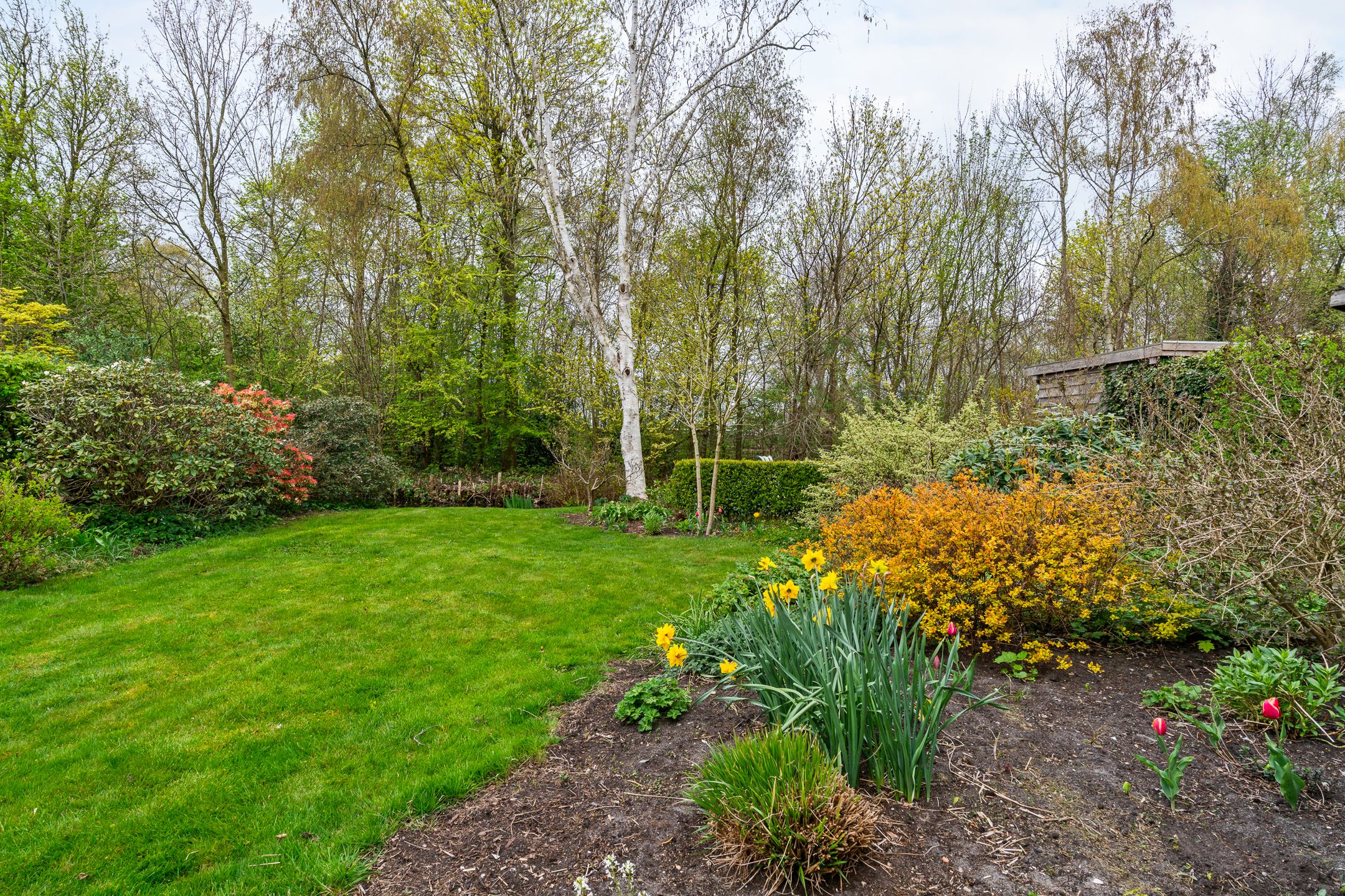 Foto 39 van Goudse Rijweg 356