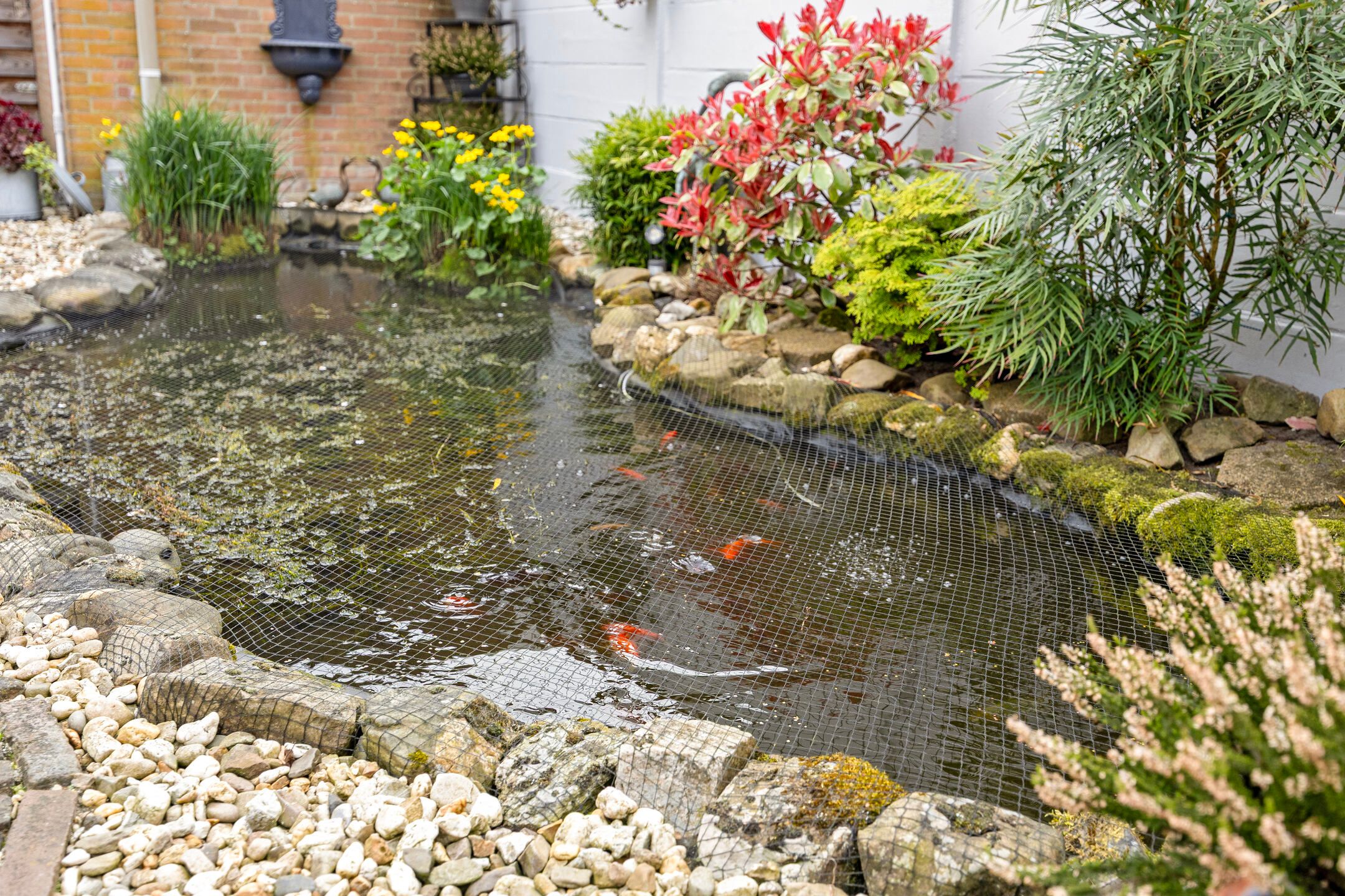 Foto 42 van Kastanjelaan 36