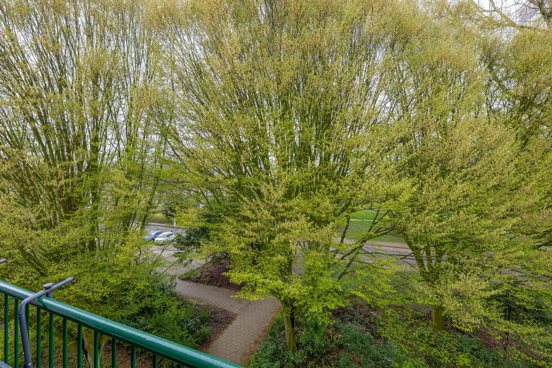 Foto 33 van Wenckebachplantsoen 84