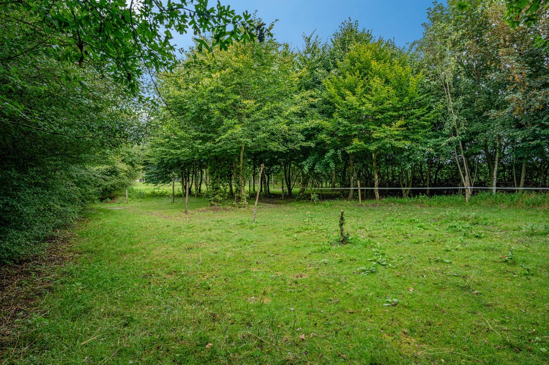 Photo 16 of Wollinghuizerweg