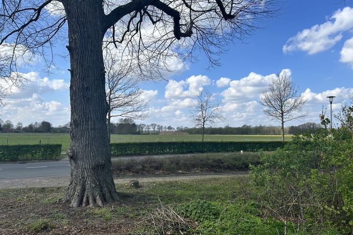 Foto 3 van Wollinghuizerweg