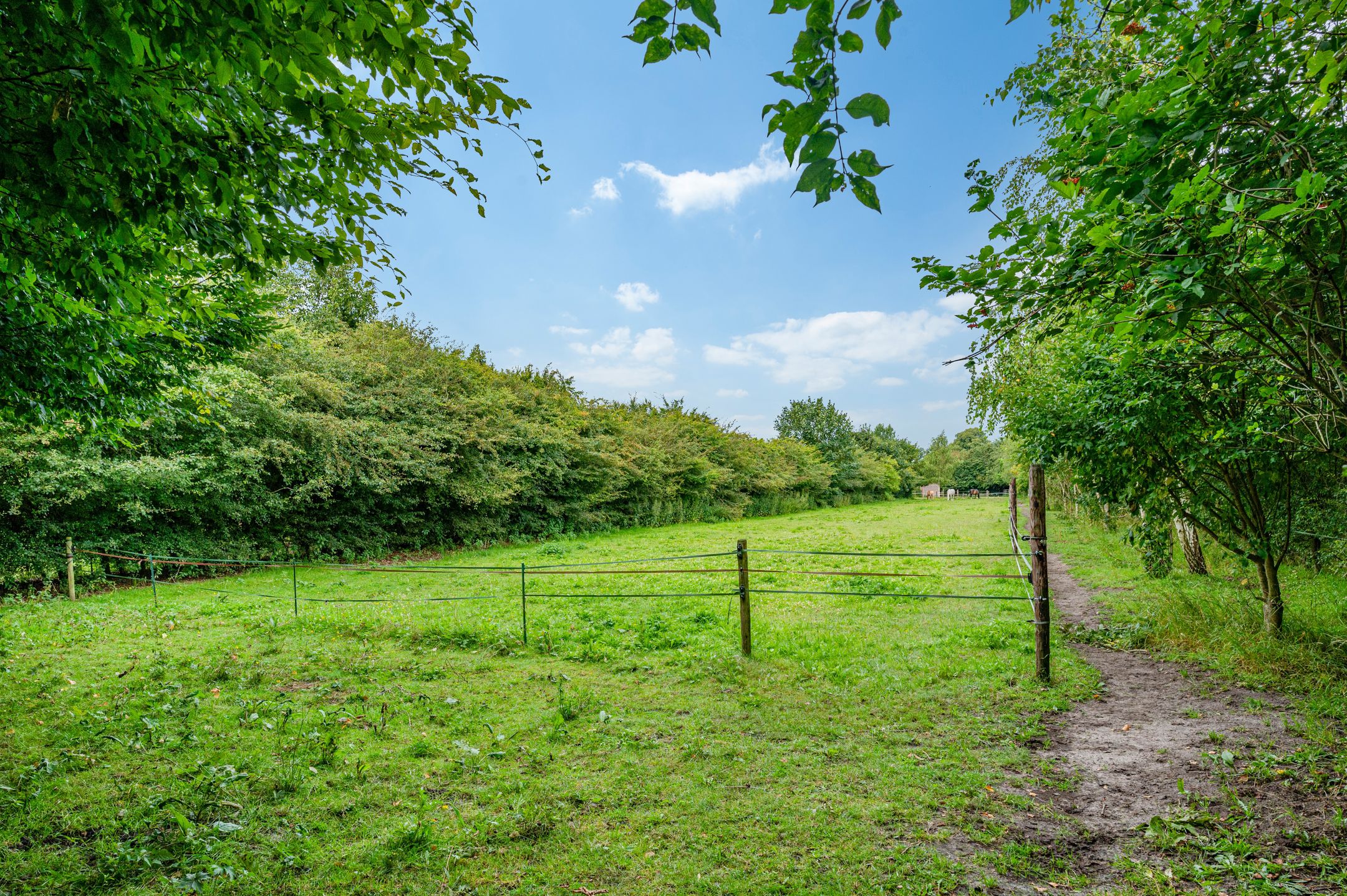 Photo 15 of Wollinghuizerweg
