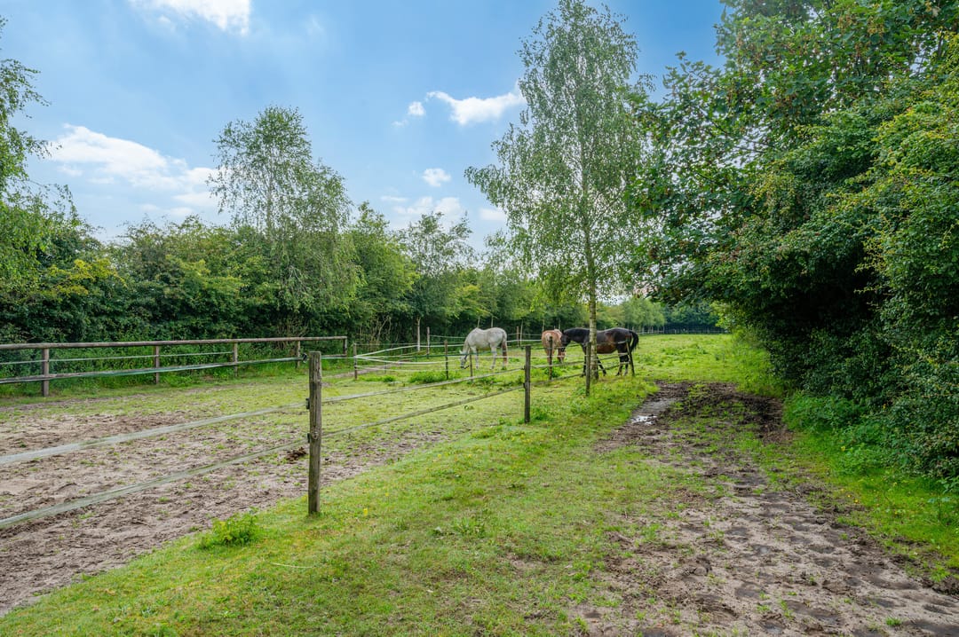Photo 11 of Wollinghuizerweg