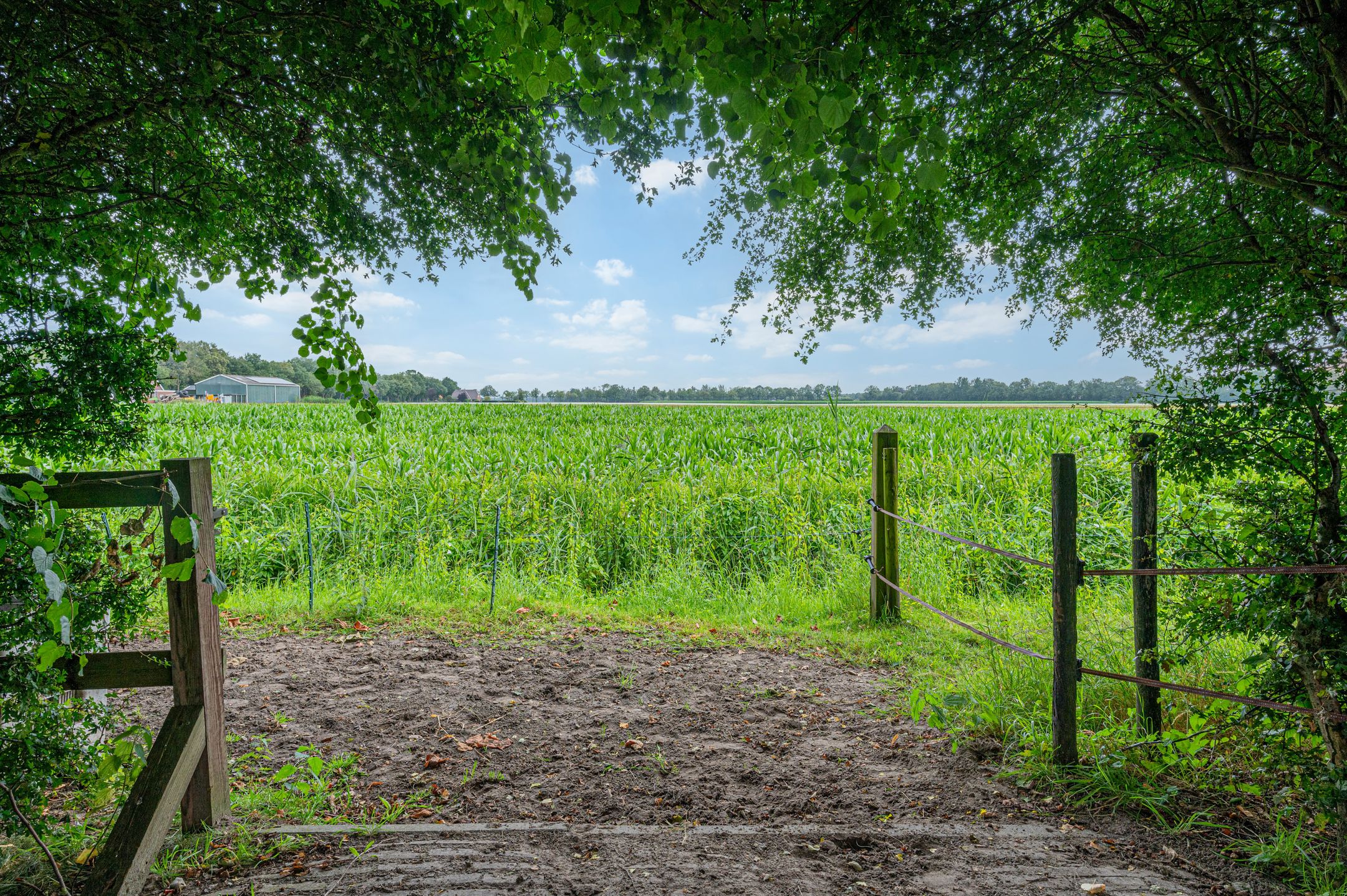 Photo 9 of Wollinghuizerweg