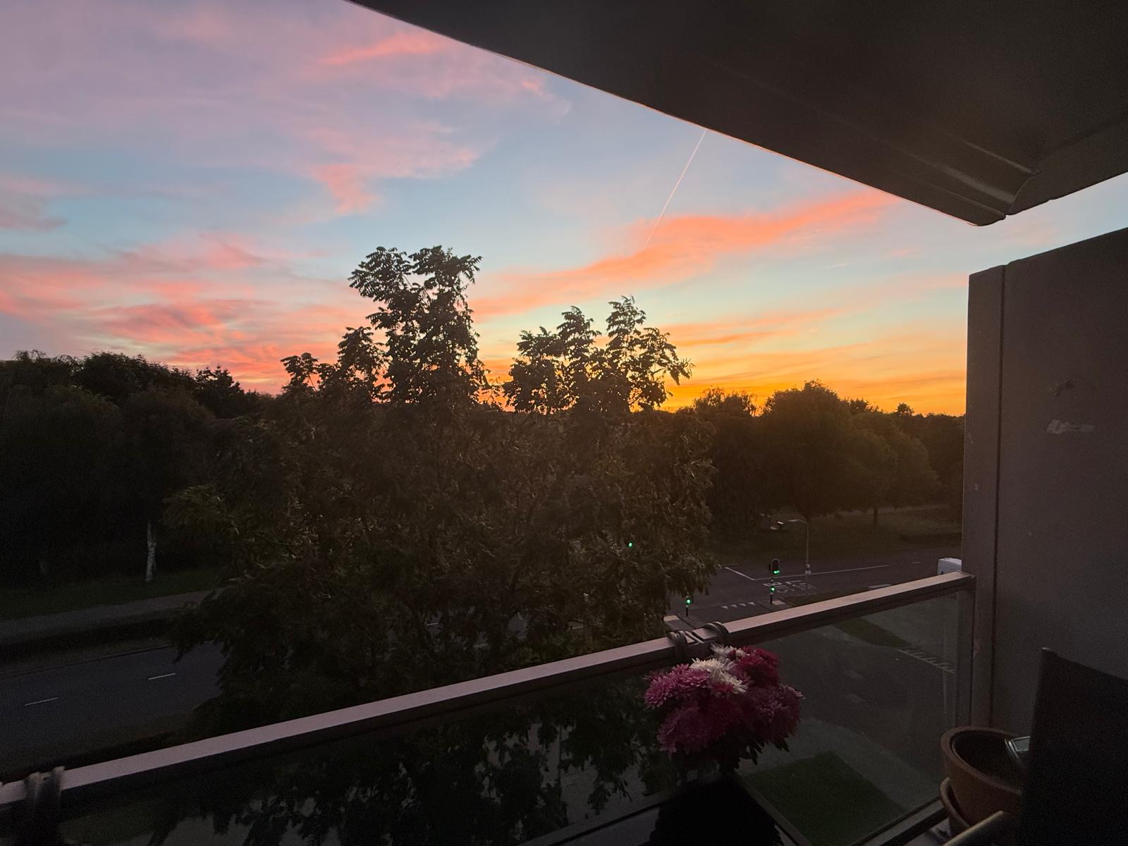 Foto 27 van Salsastraat 153