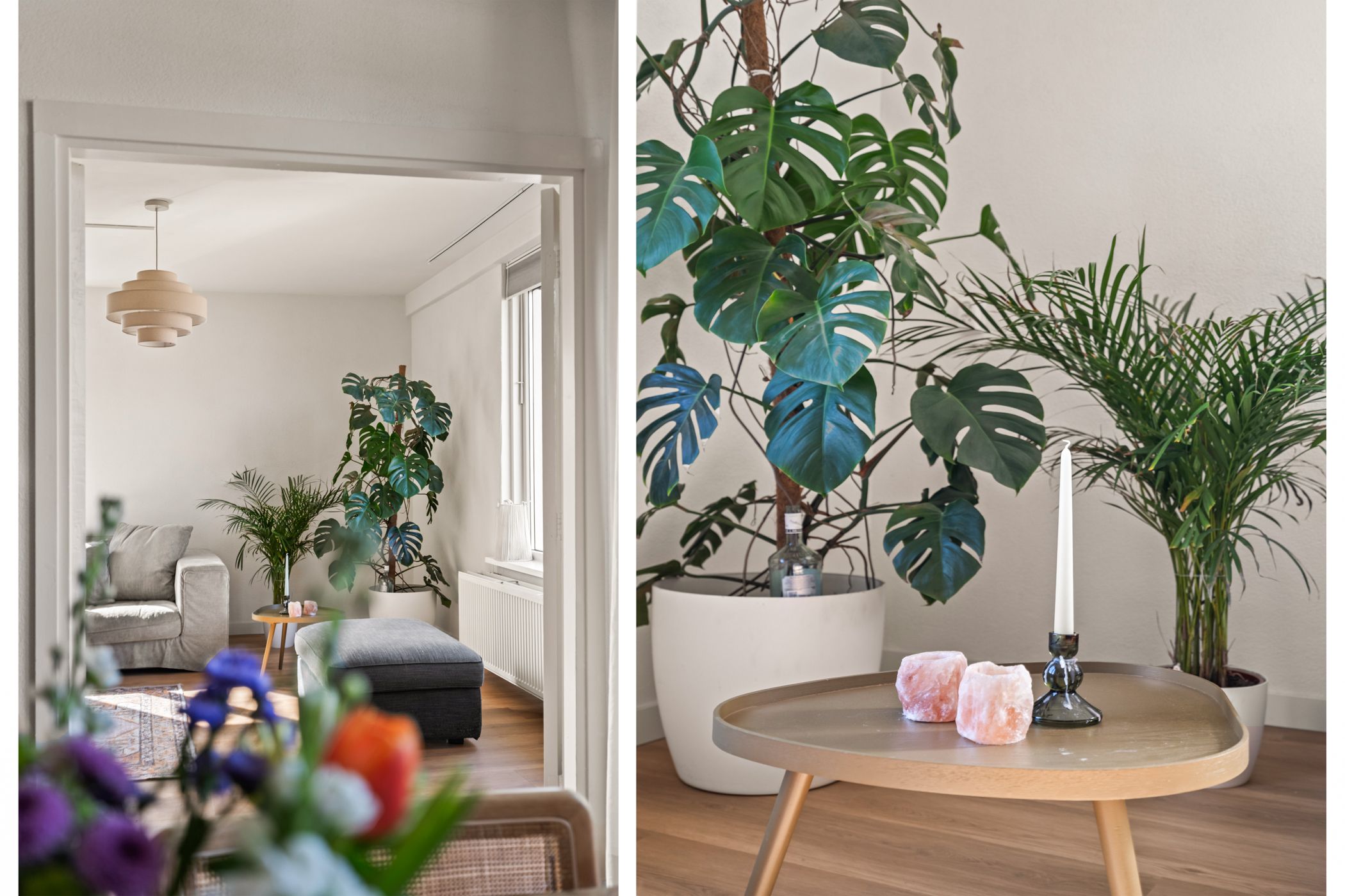 Foto 9 van Ariaplein 110