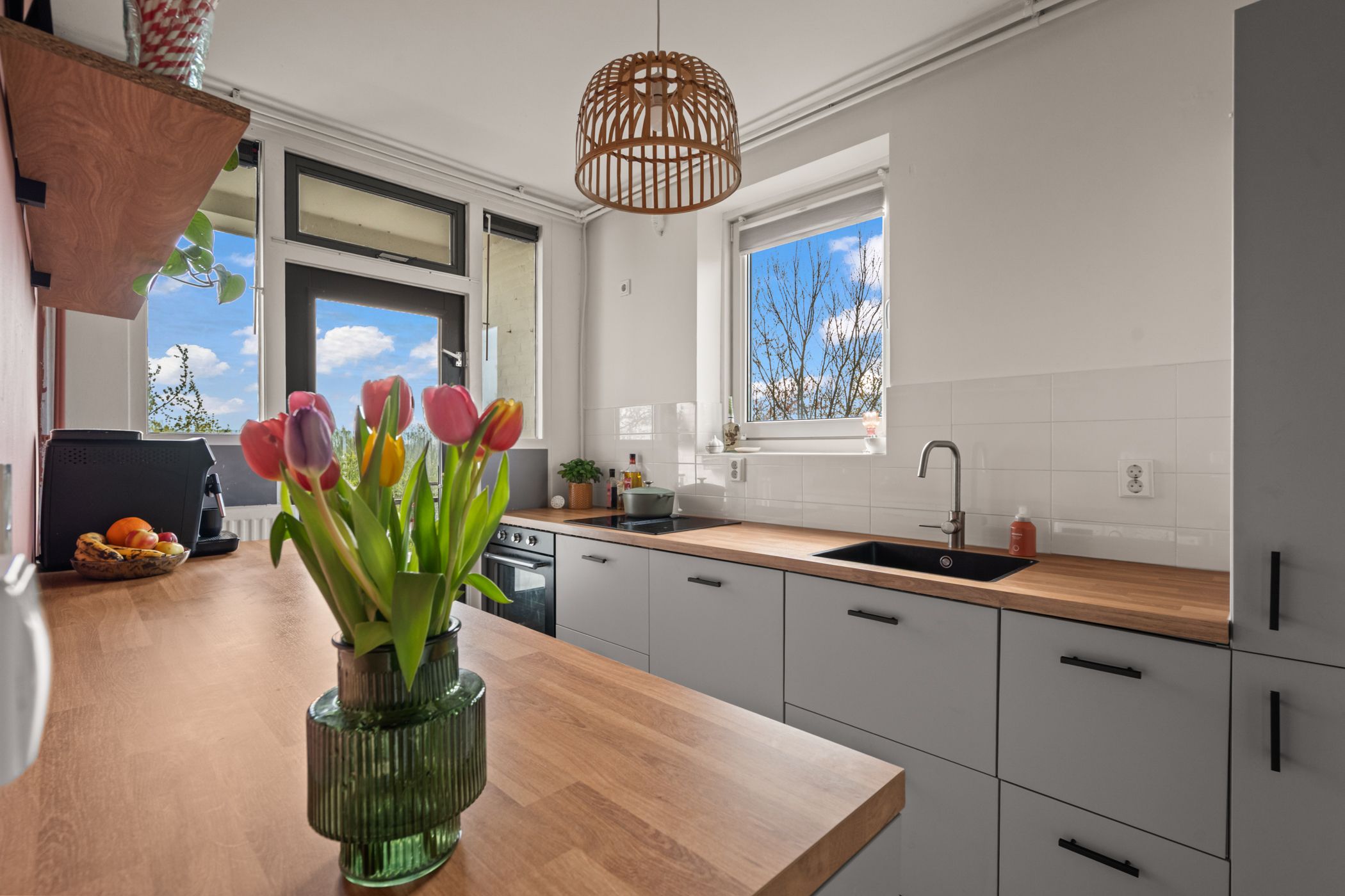 Foto 12 van Ariaplein 110