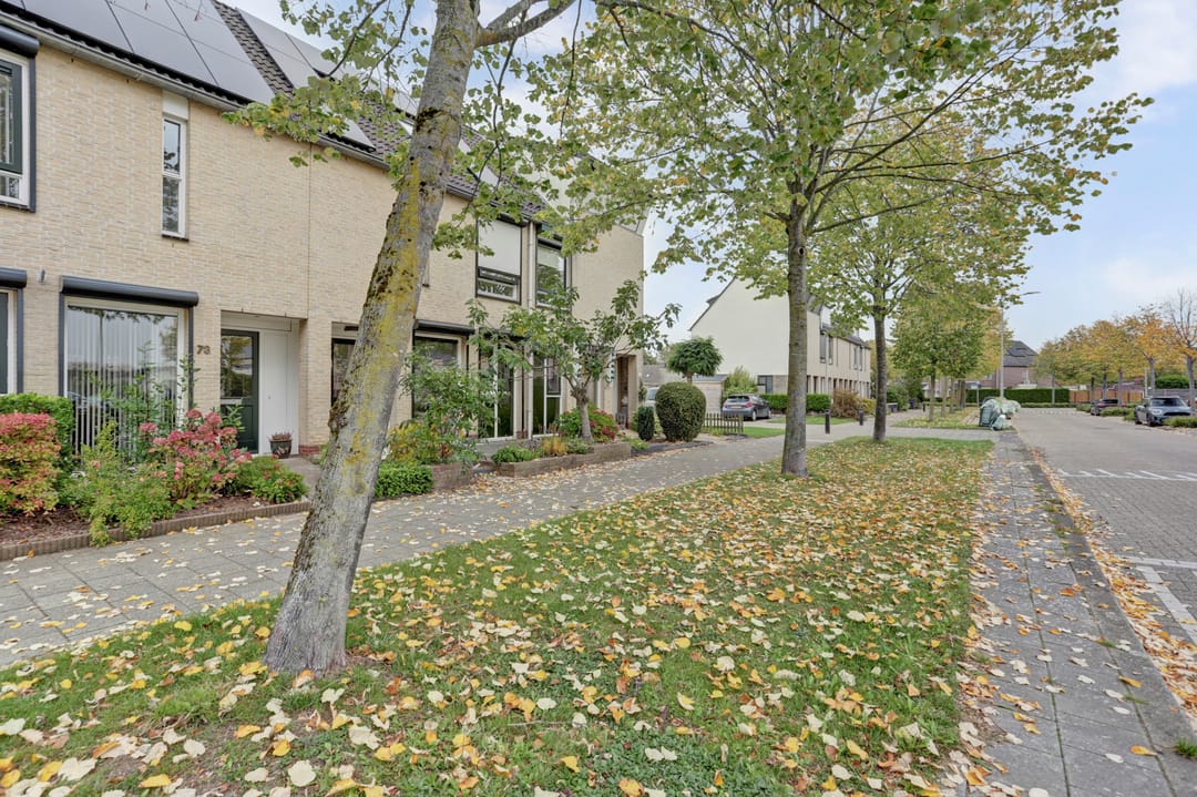 Foto 2 van Hilsondusstraat 73