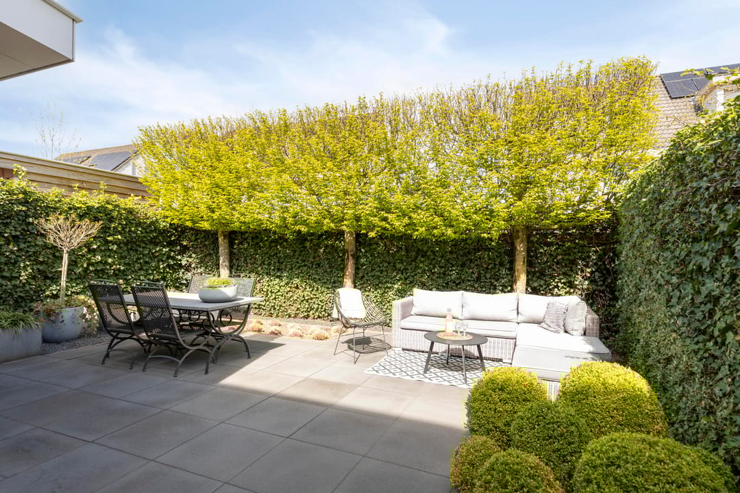 Photo 31 of De Toom 4