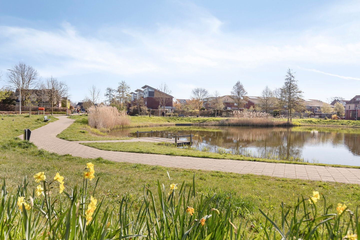 Photo 40 of De Toom 4