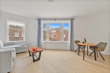 Altingstraat 217 tertiary image