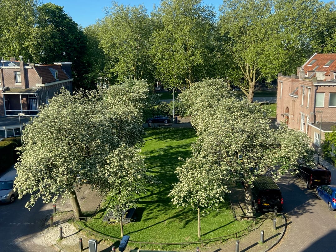 Photo 37 of Plein Eendragt 19-A