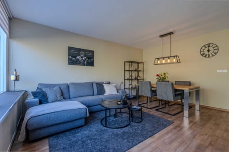 Pallas 22 secondary image