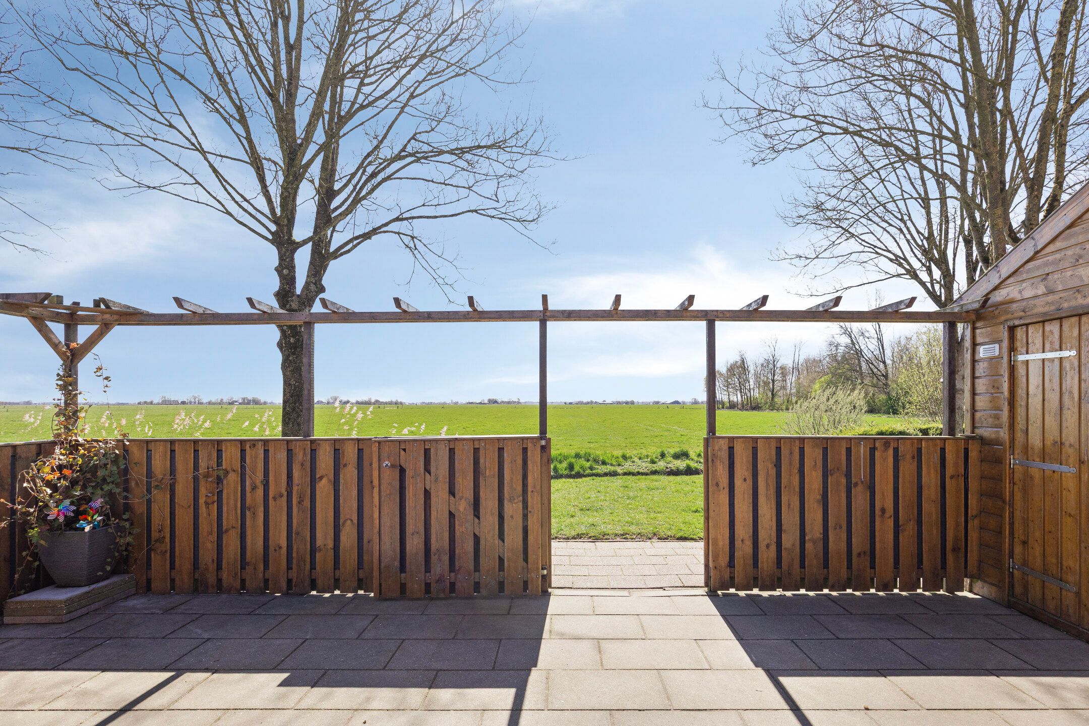 Foto 33 van De Esdoorn 26