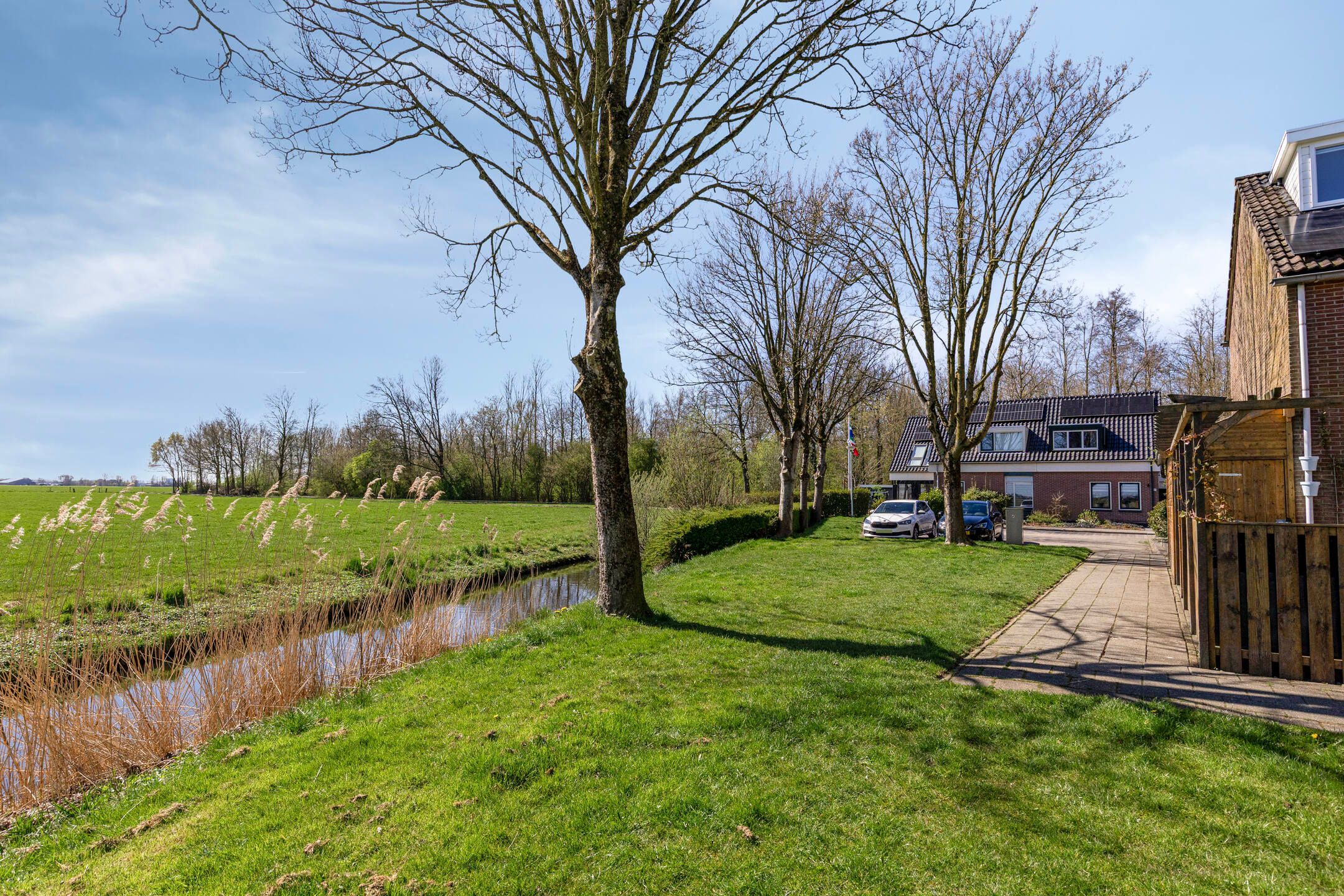 Foto 36 van De Esdoorn 26