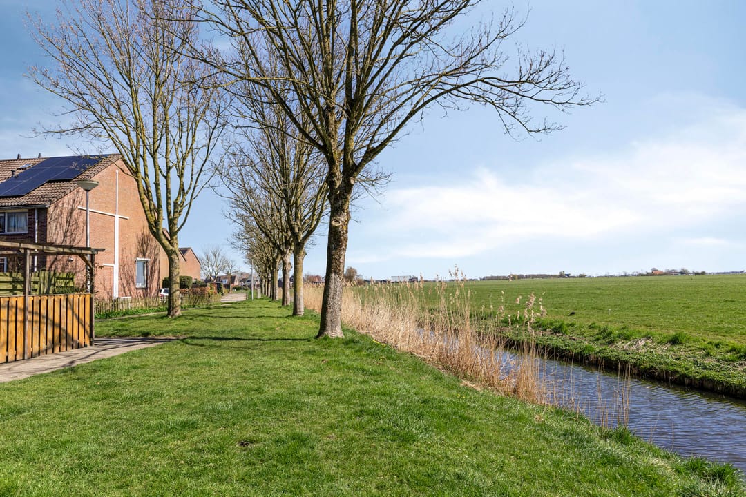 Foto 37 van De Esdoorn 26