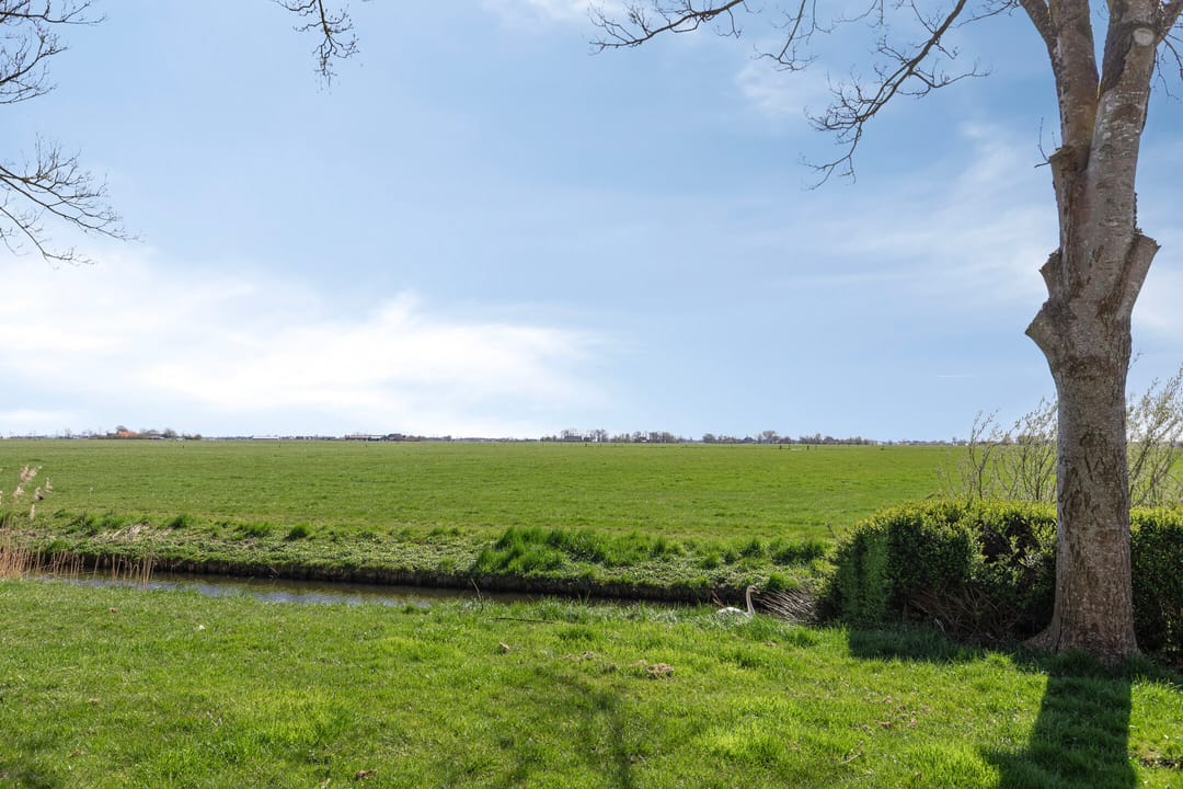 Foto 38 van De Esdoorn 26