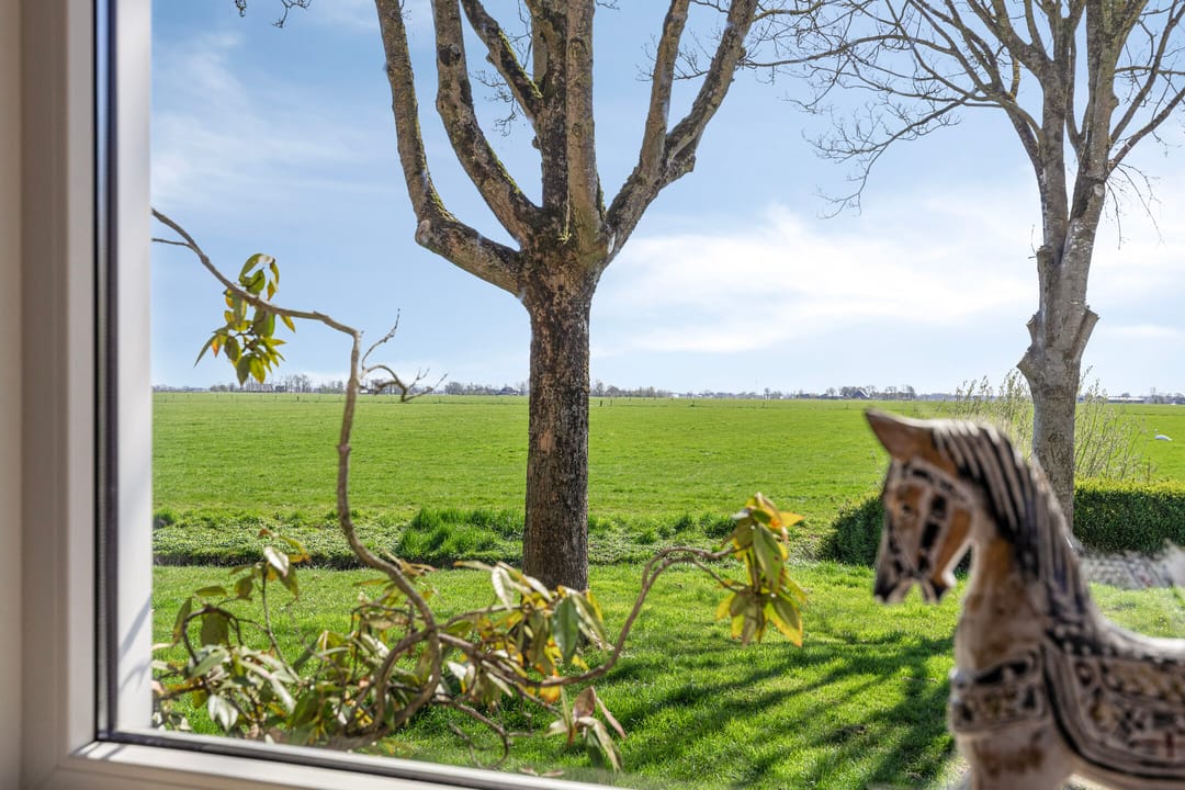 Foto 13 van De Esdoorn 26