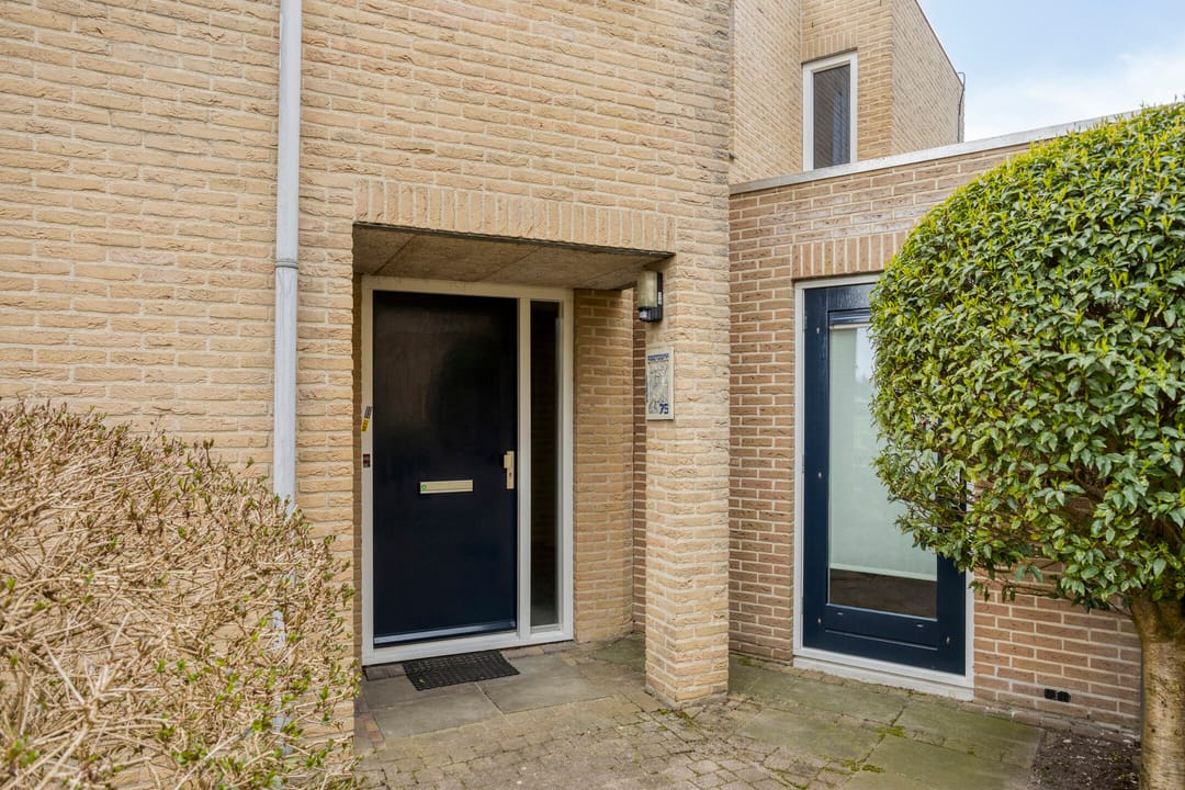 Foto 8 van Roerdomp 75