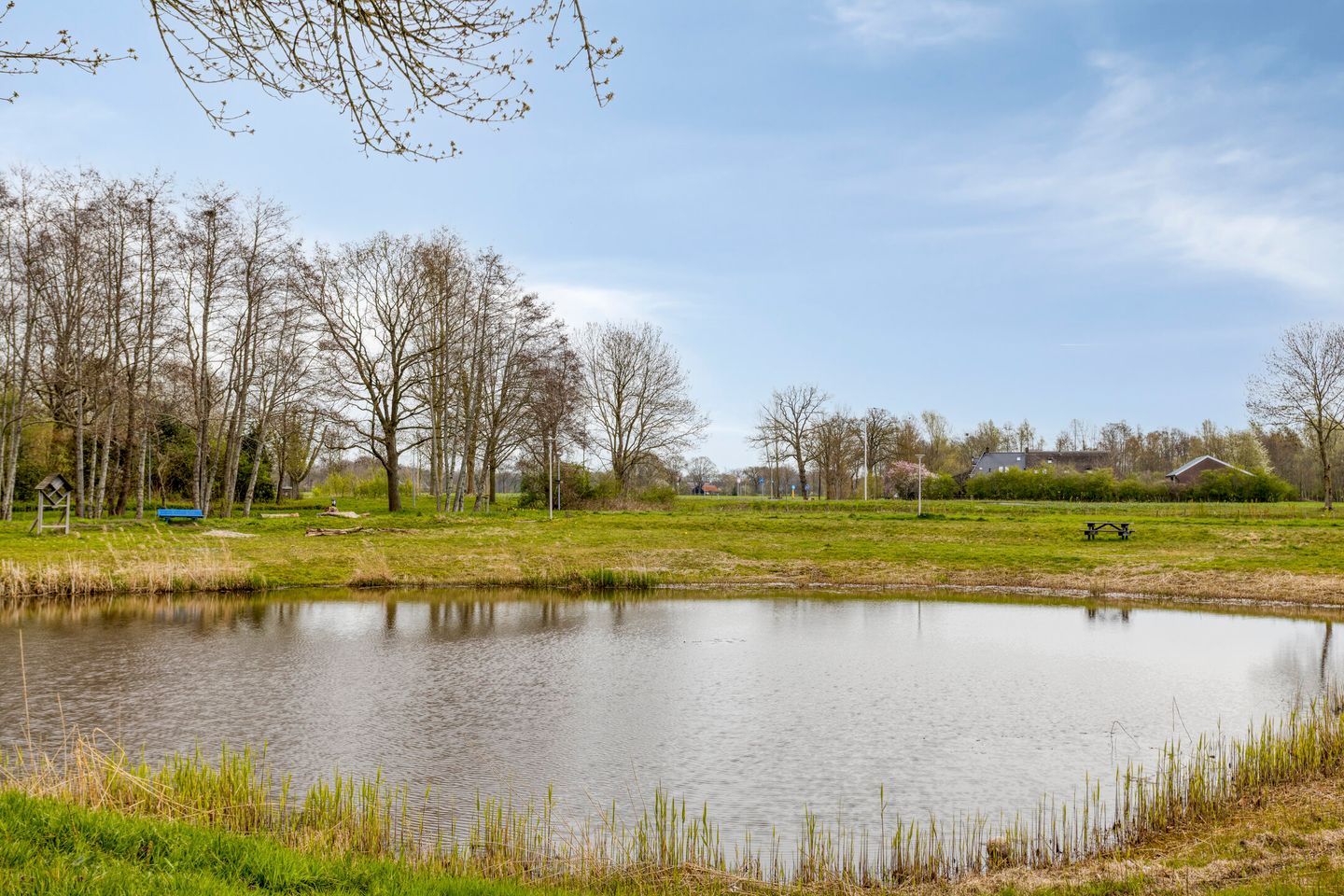 Foto 40 van Roerdomp 75