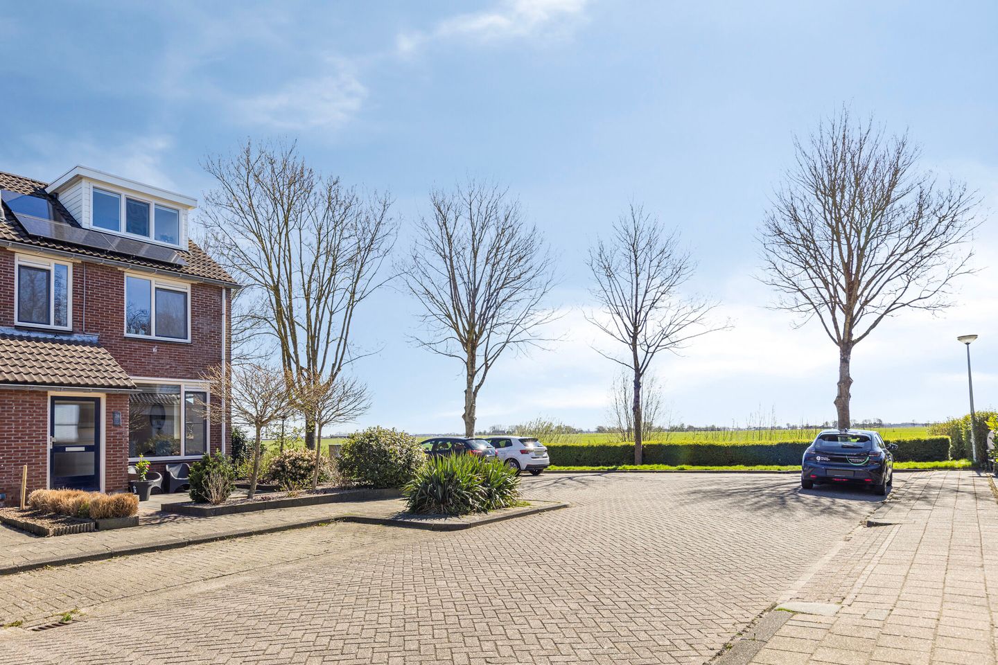 Foto 5 van De Esdoorn 26