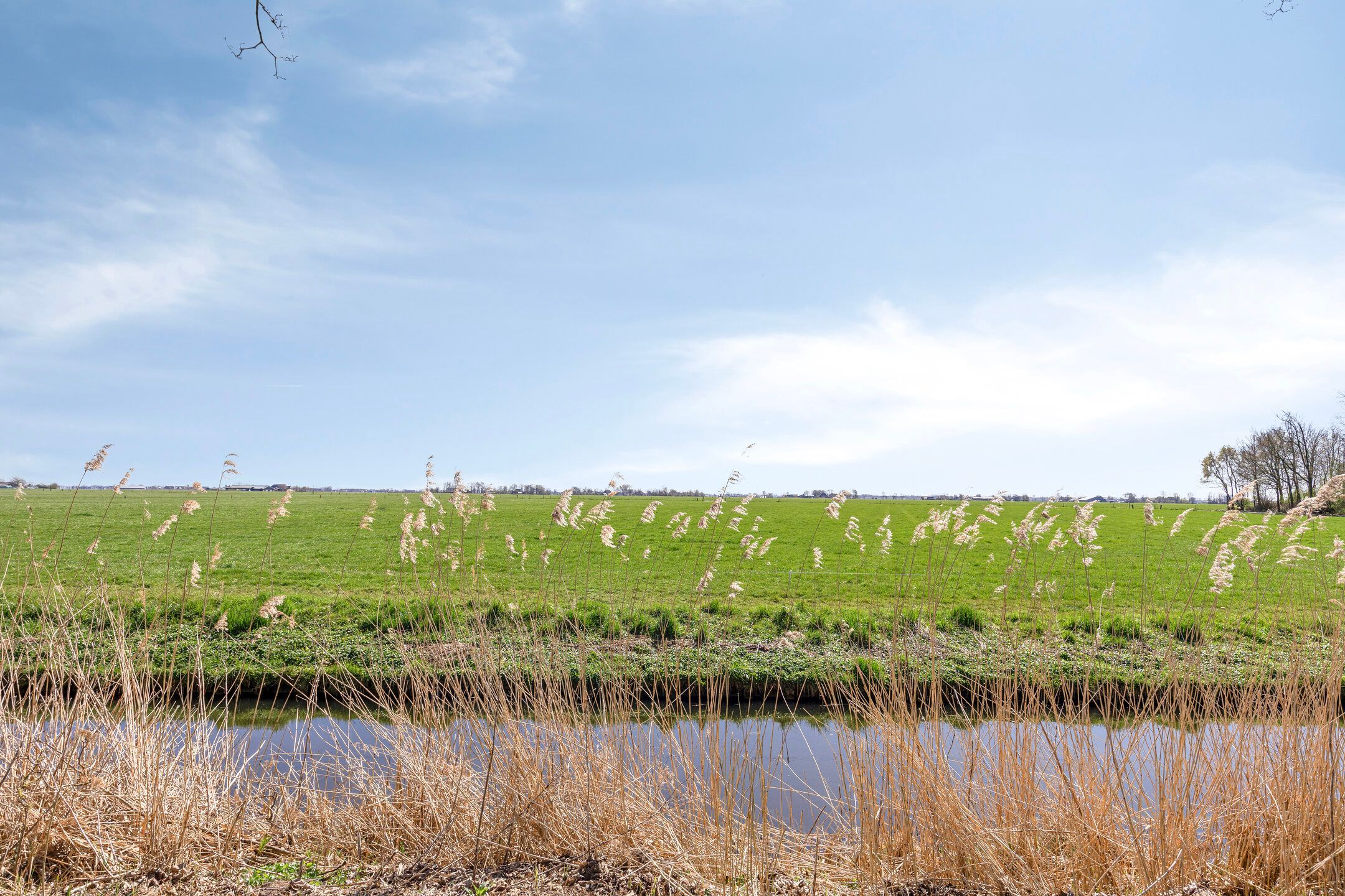 Foto 39 van De Esdoorn 26