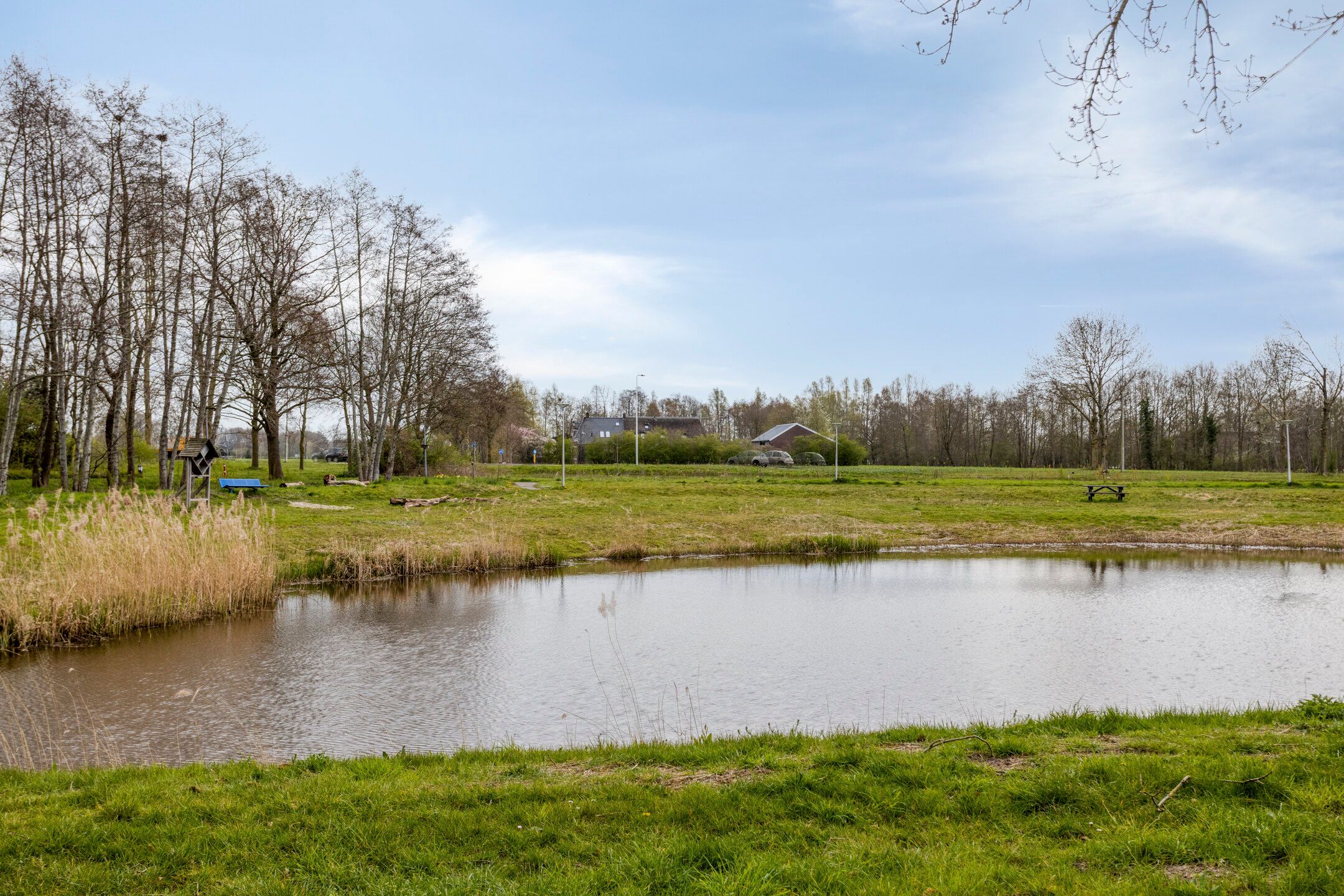 Foto 39 van Roerdomp 75