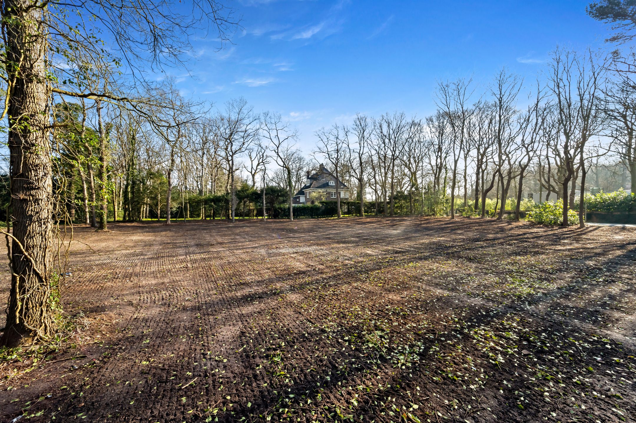 Foto 6 van Schouwweg 85