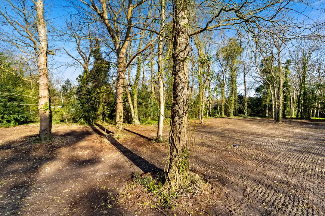 Foto 11 van Schouwweg 85