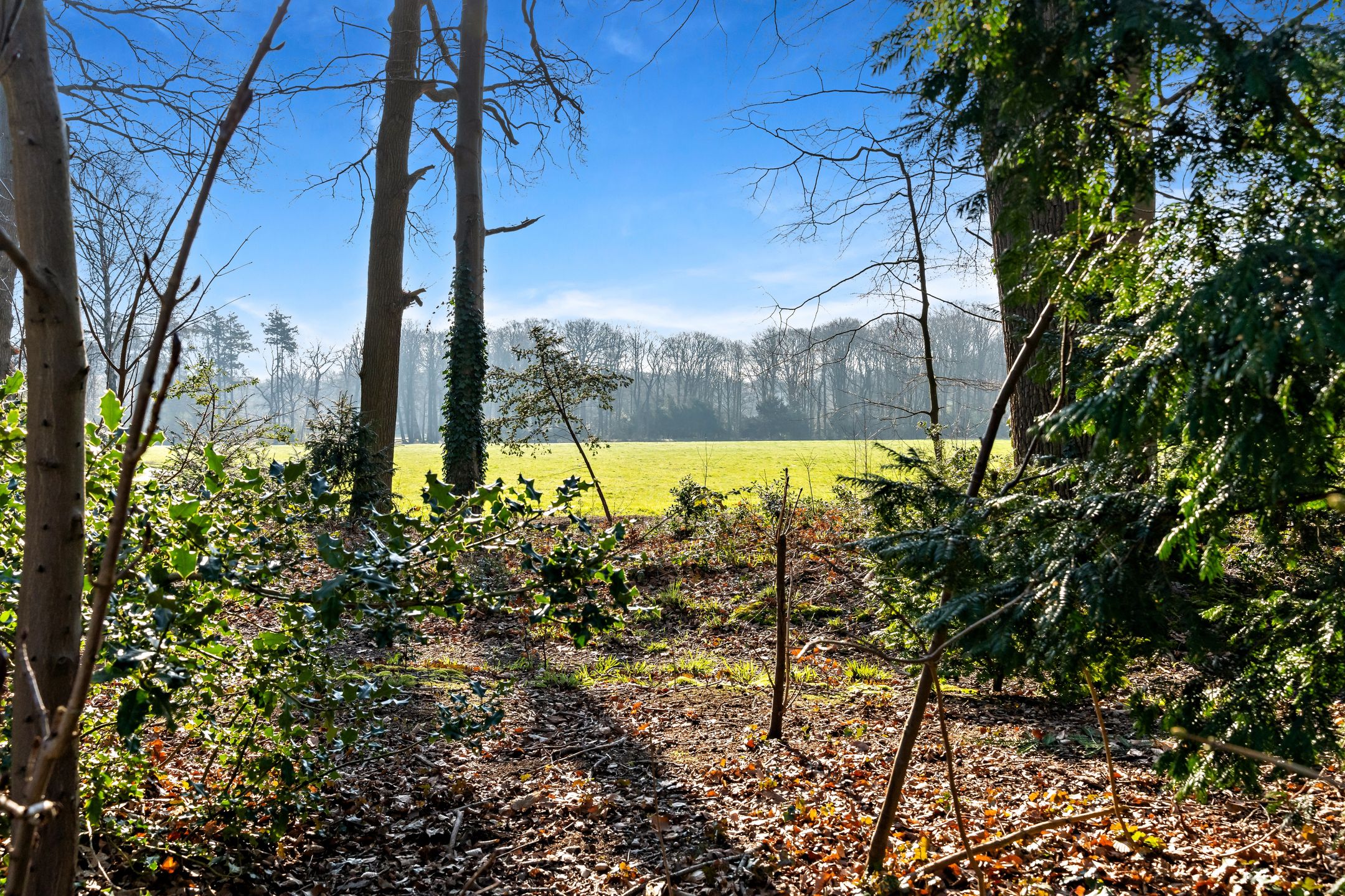 Foto 18 van Schouwweg 85