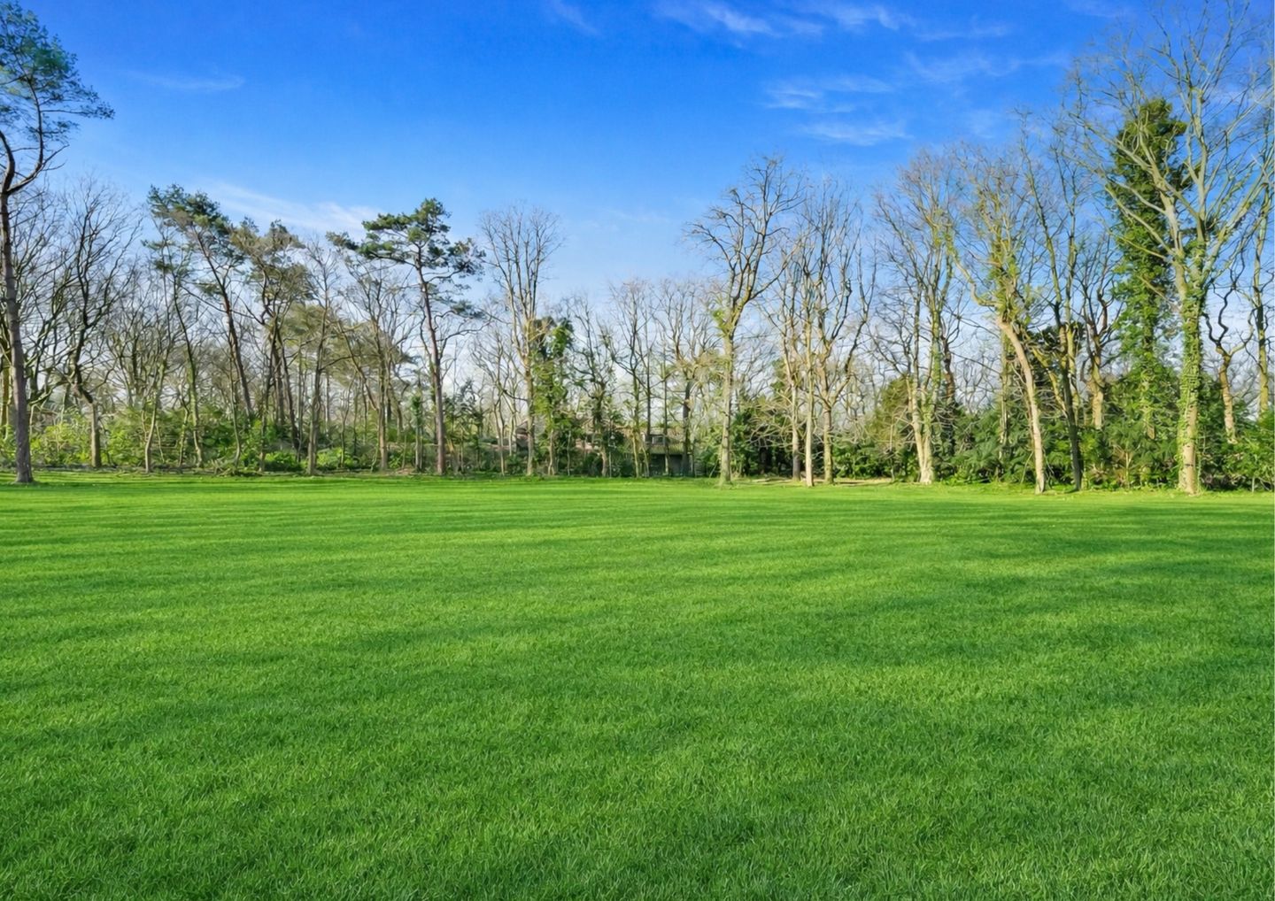 Foto 4 van Schouwweg 85